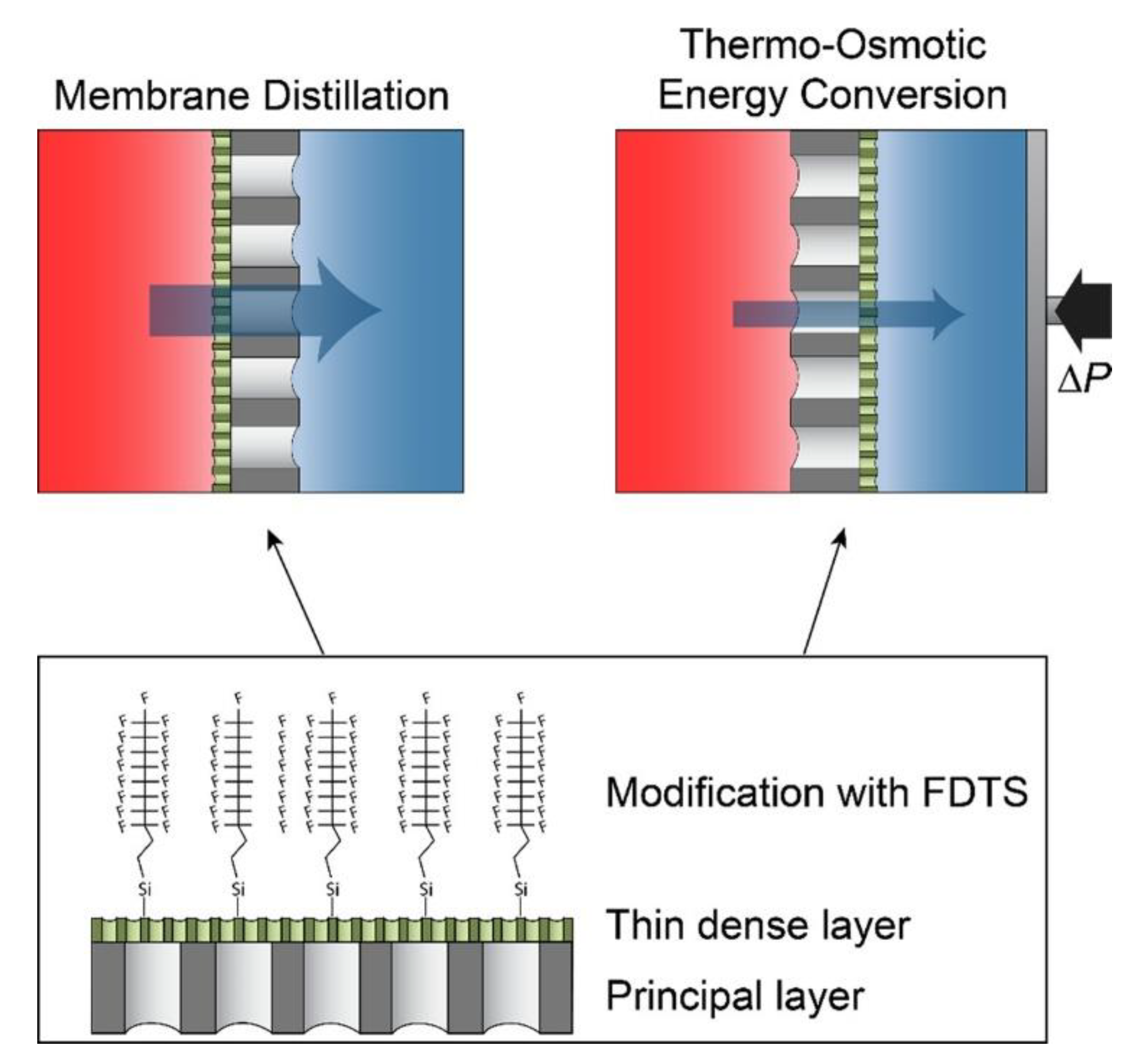 Symmetry 12 01160 g005