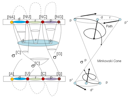 Symmetry 12 01214 g0a1