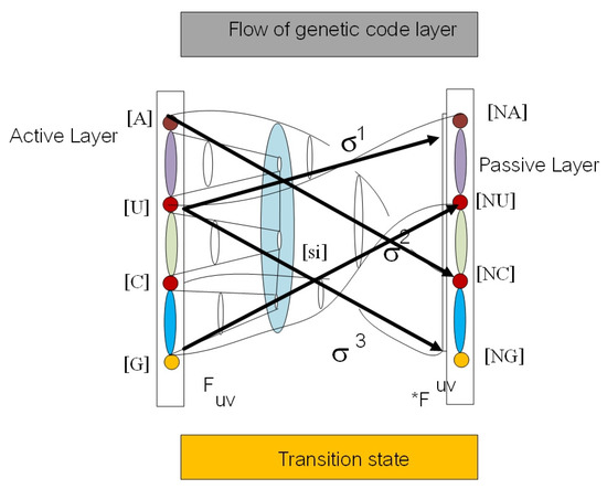 Symmetry 12 01214 g0a2