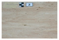 Symmetry 12 01219 i002 Symmetry 12 01219 i002