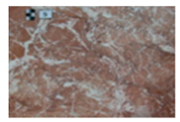 Symmetry 12 01219 i005 Symmetry 12 01219 i005