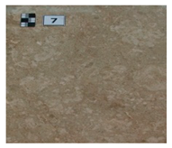 Symmetry 12 01219 i007 Symmetry 12 01219 i007