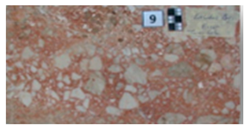 Symmetry 12 01219 i009 Symmetry 12 01219 i009