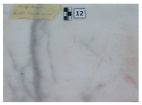 Symmetry 12 01219 i012 Symmetry 12 01219 i012