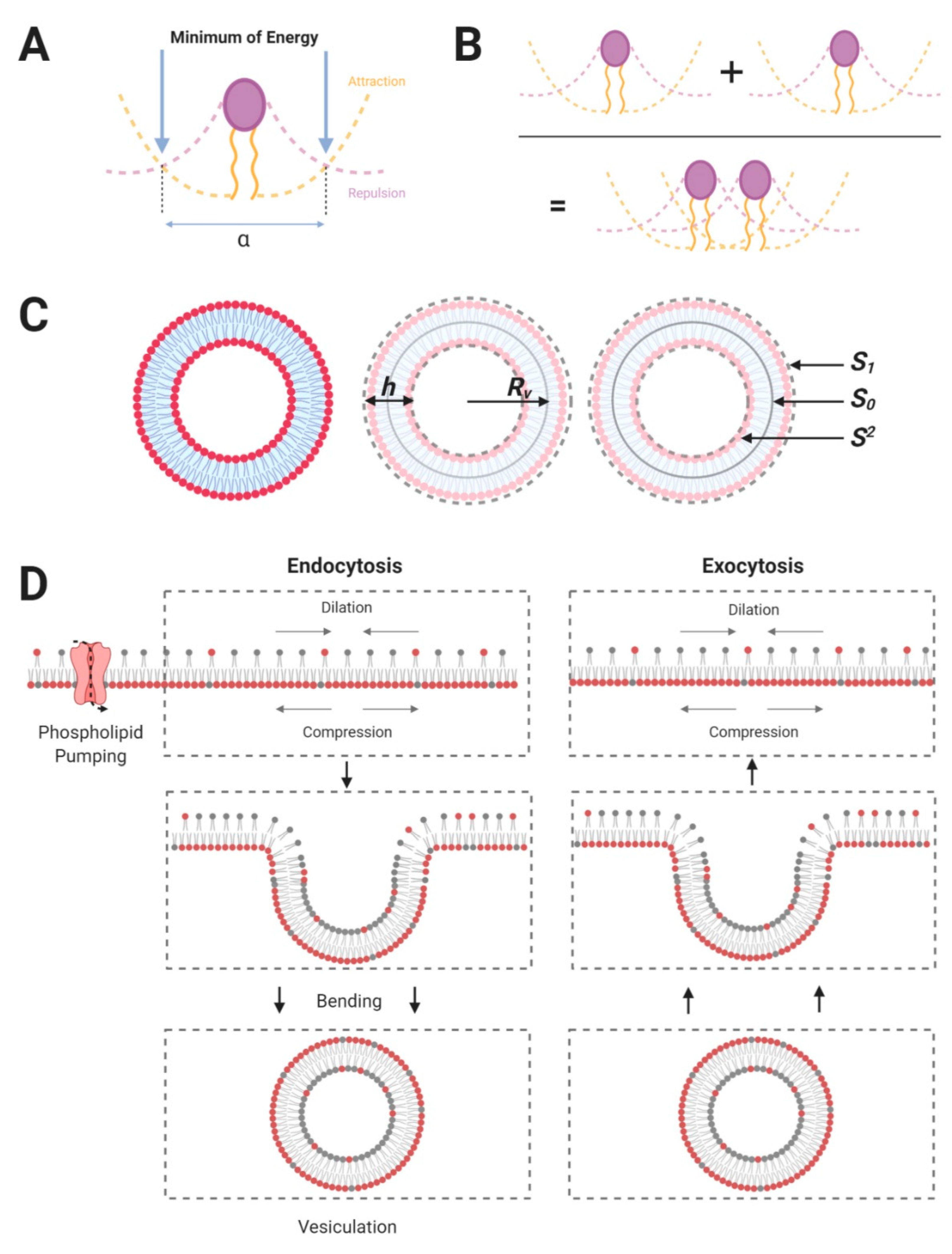 Symmetry 12 01221 g001