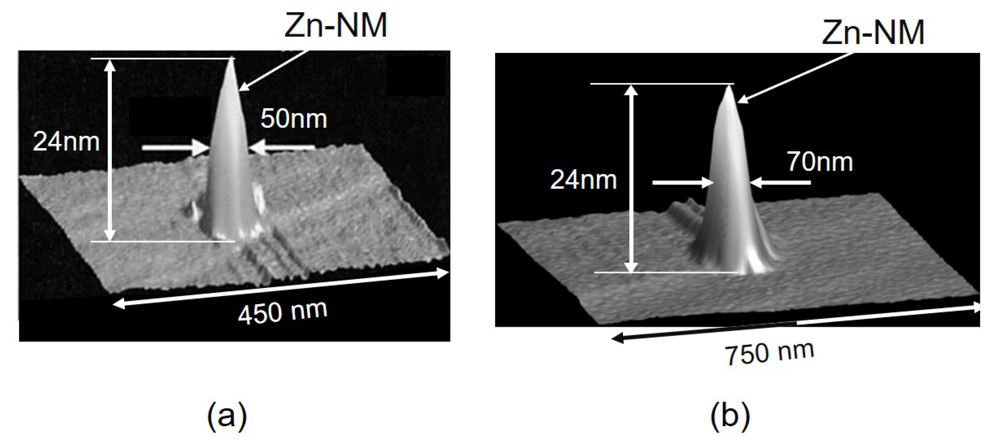 Symmetry 12 01244 g002