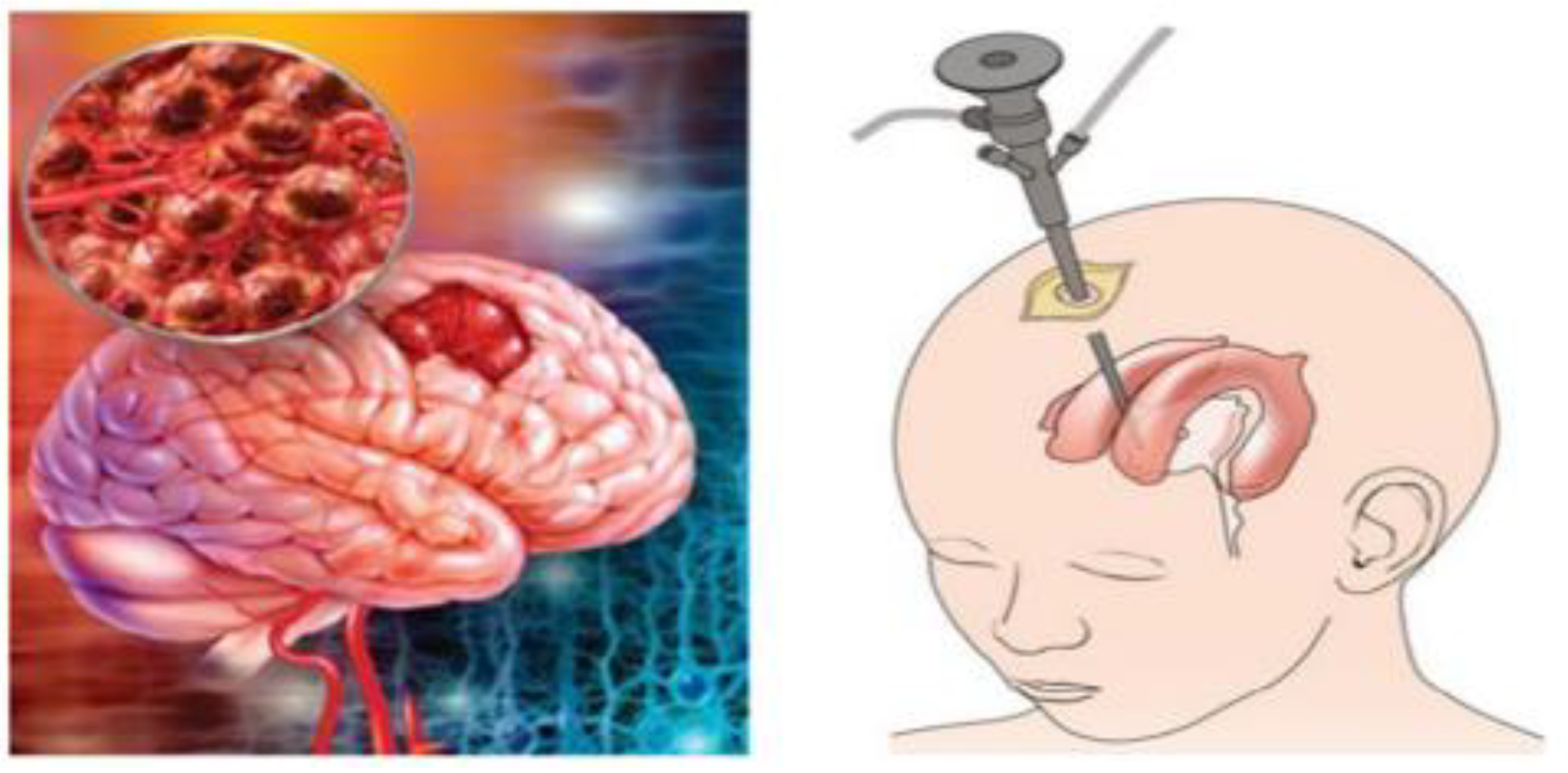 Symmetry 12 01256 g001 Symmetry 12 01256 g001