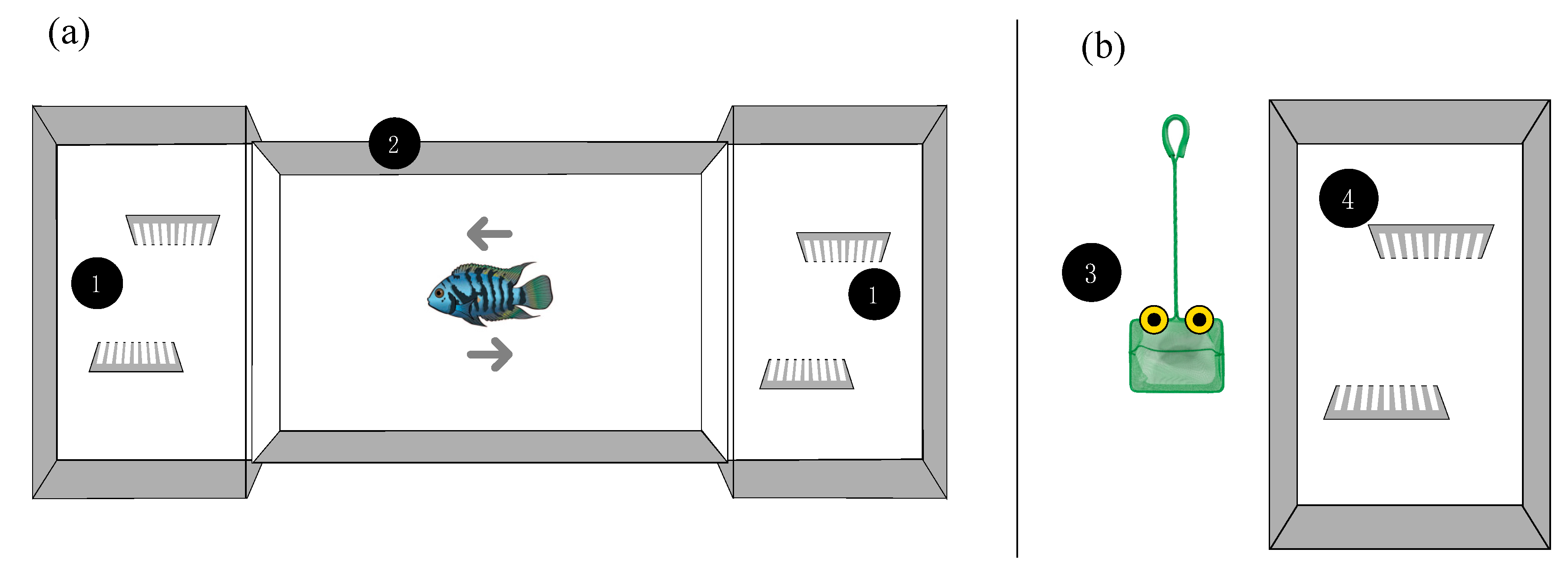 Symmetry 12 01257 g001 Symmetry 12 01257 g001