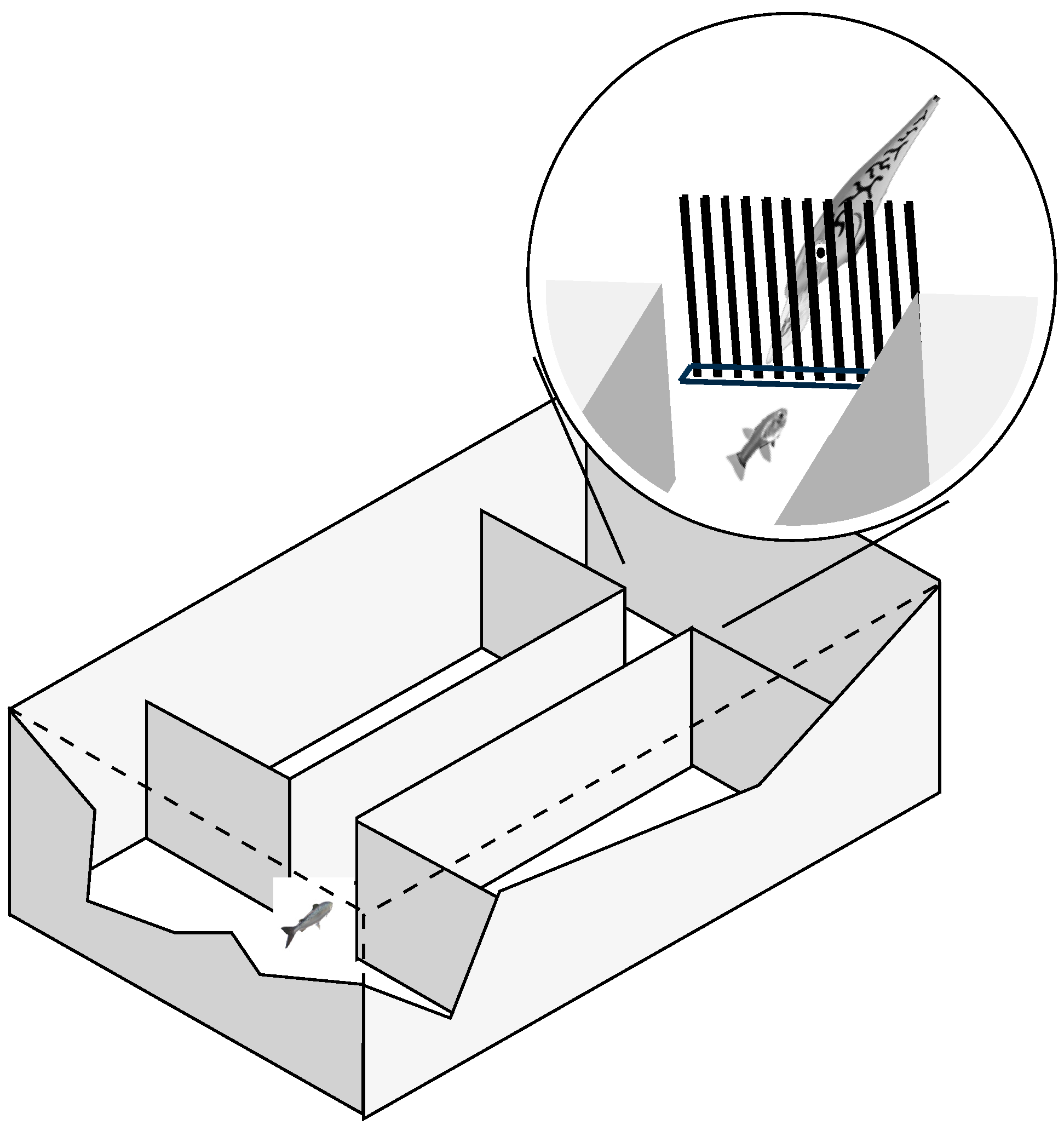 Symmetry 12 01294 g001