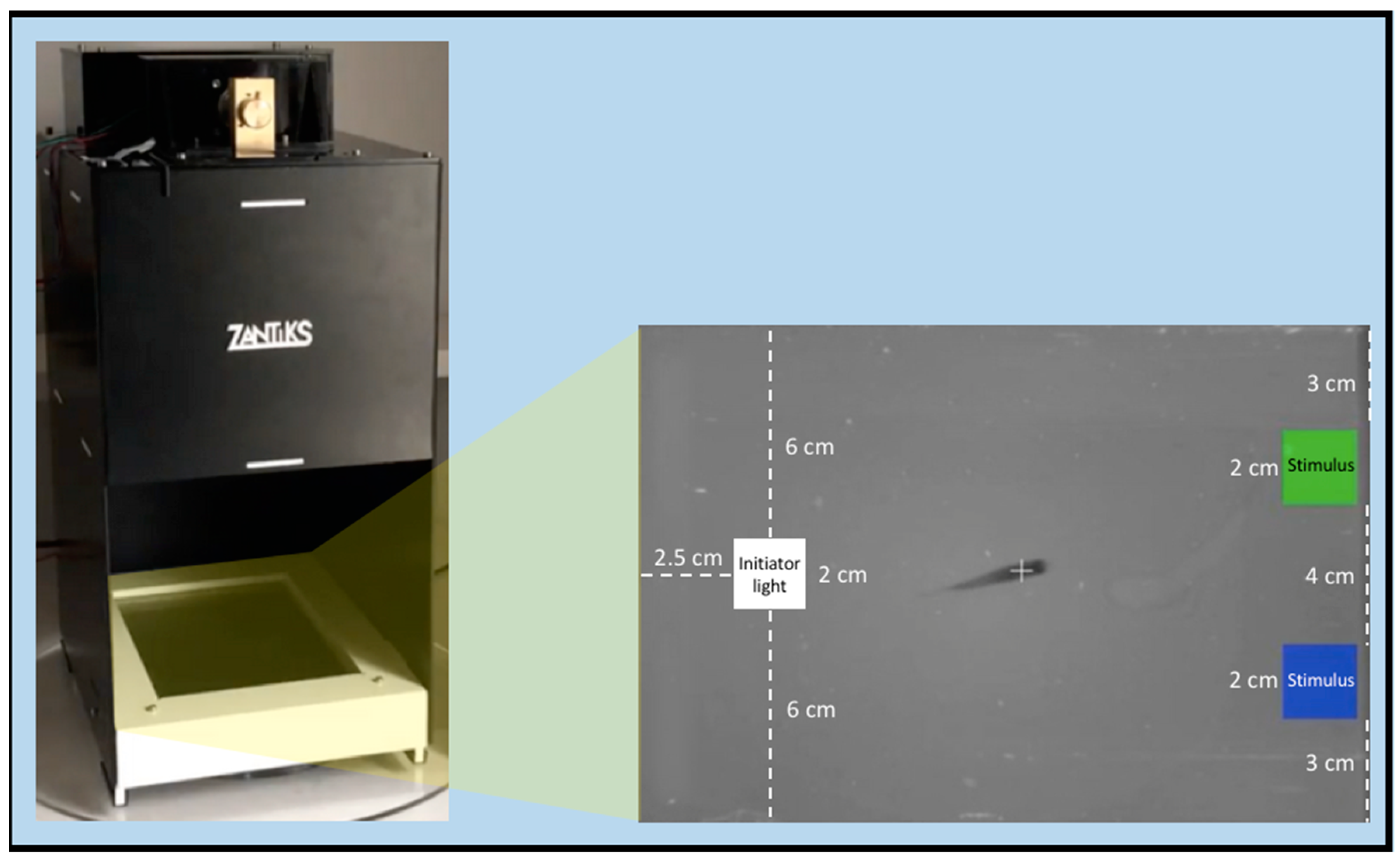 Symmetry 12 01294 g002