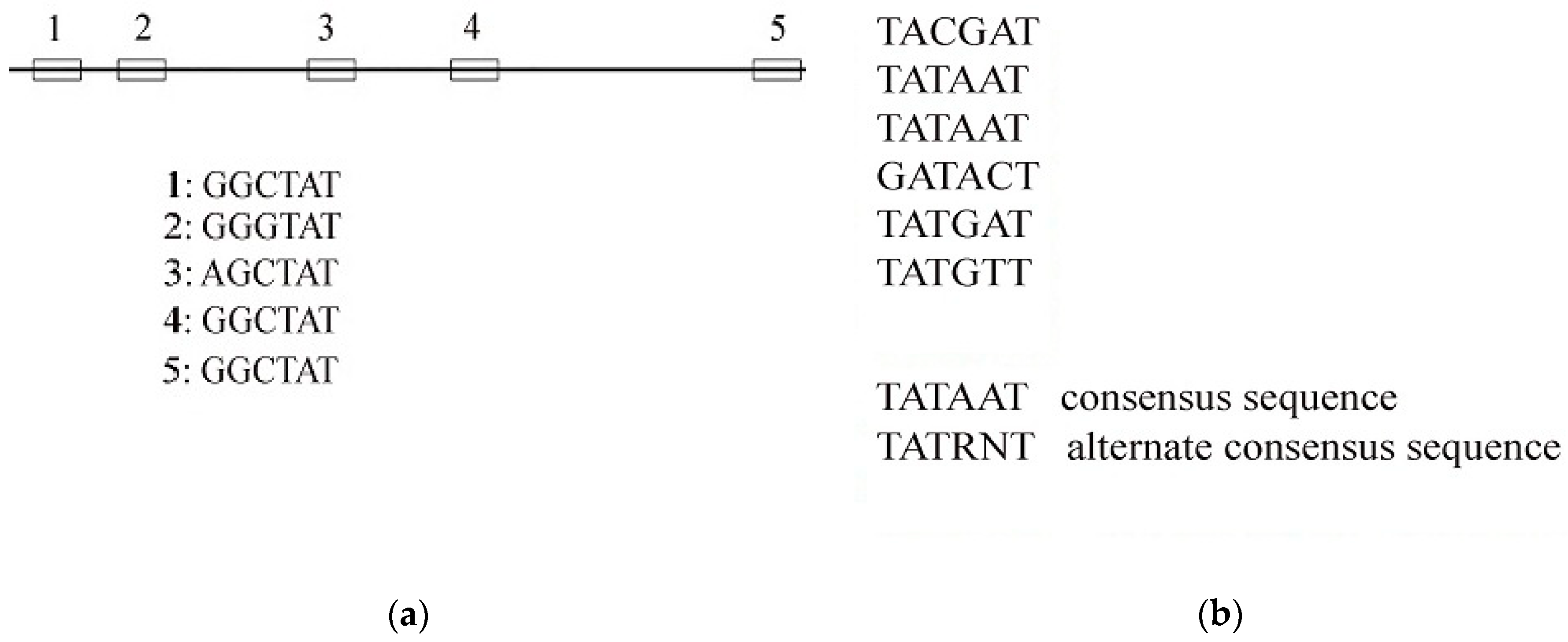 Symmetry 12 01363 g001