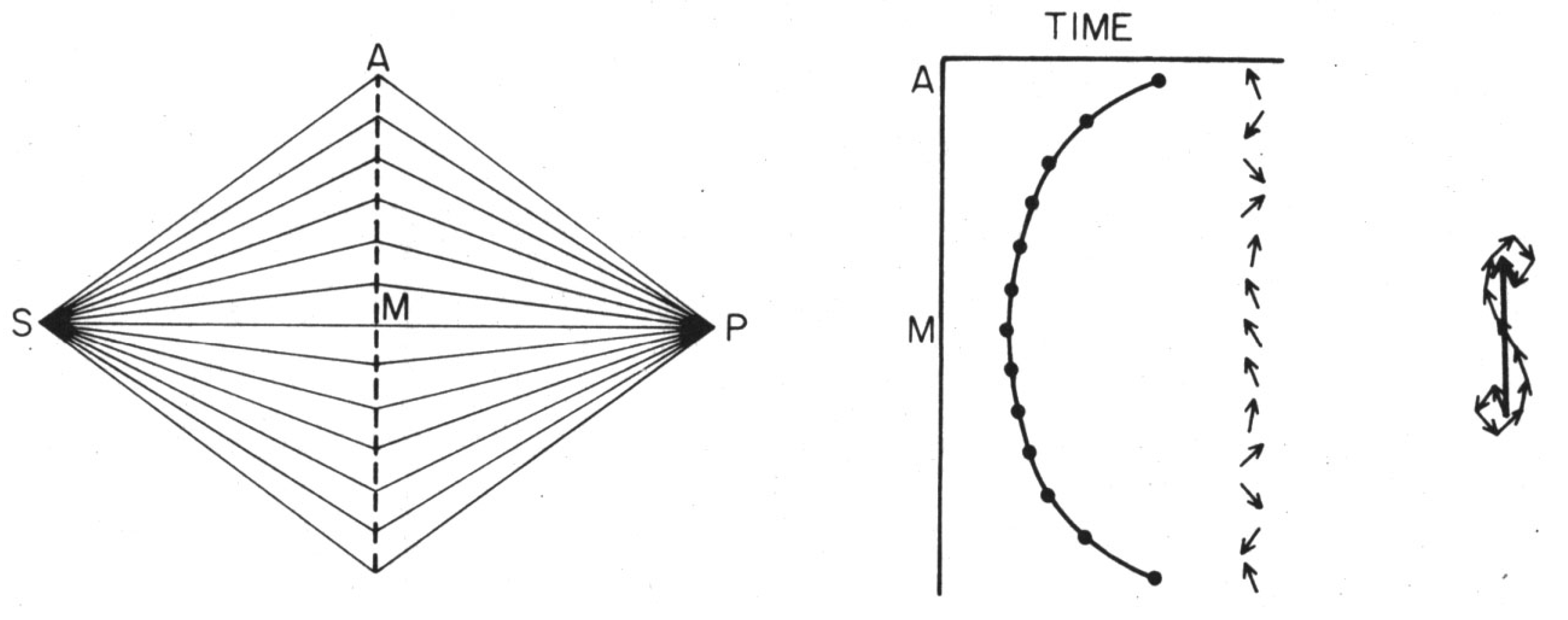 Symmetry 12 01373 g008