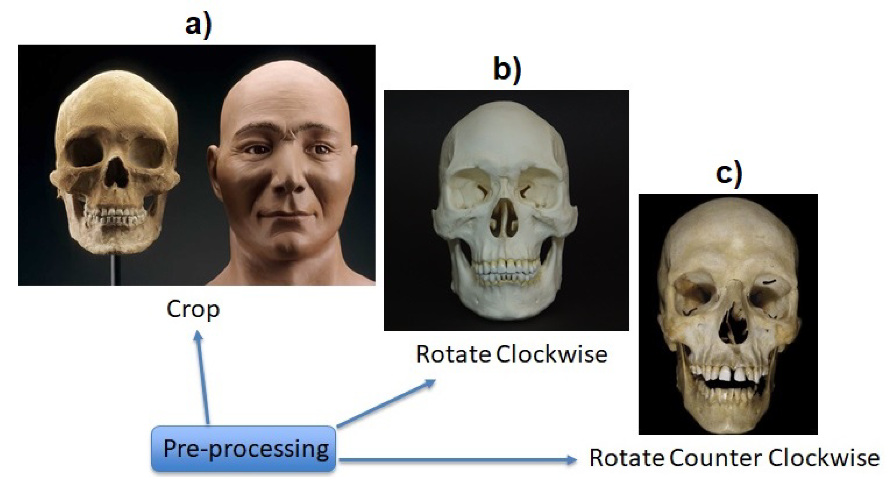 Symmetry 12 01448 g002