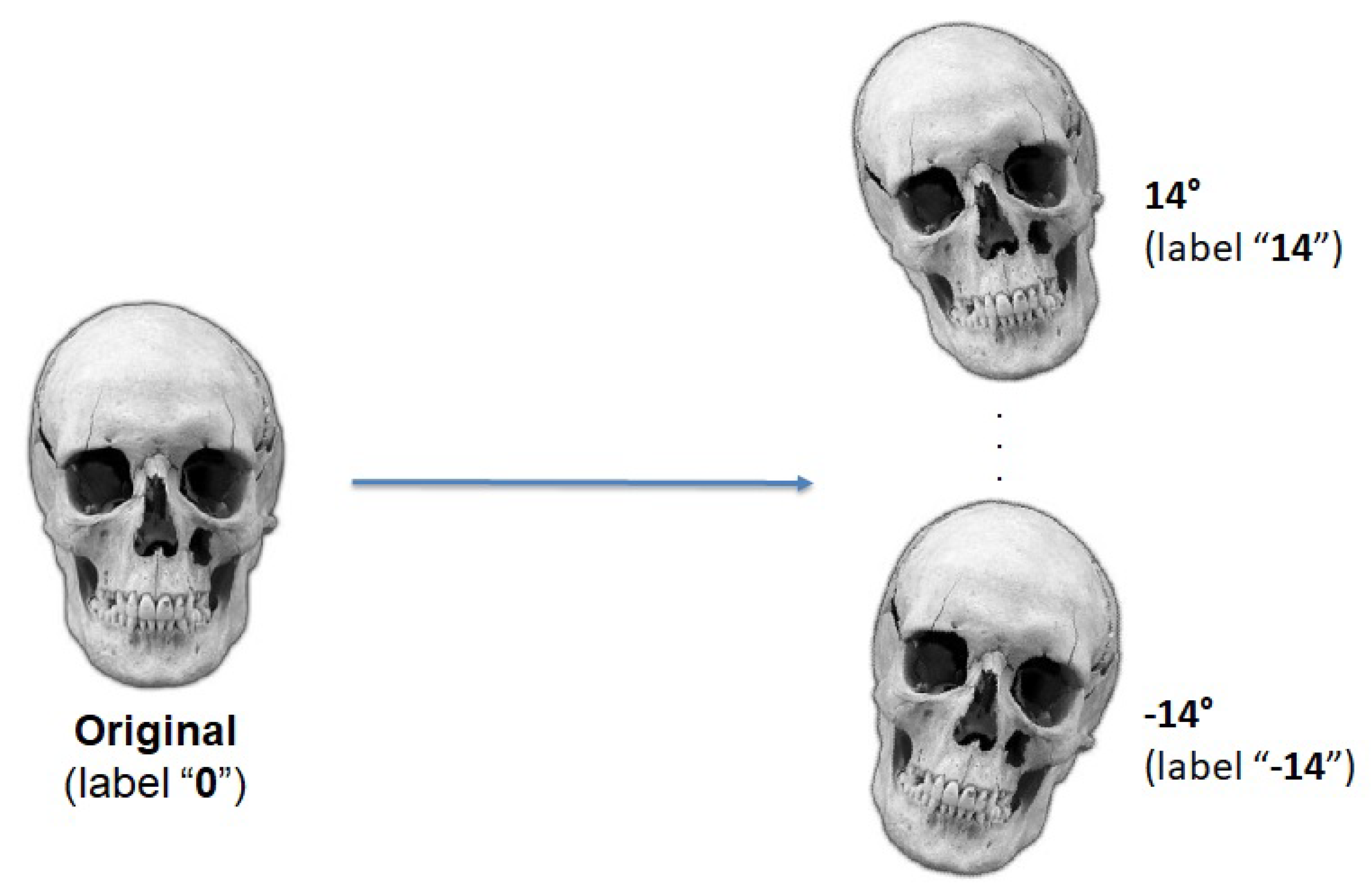 Symmetry 12 01448 g004