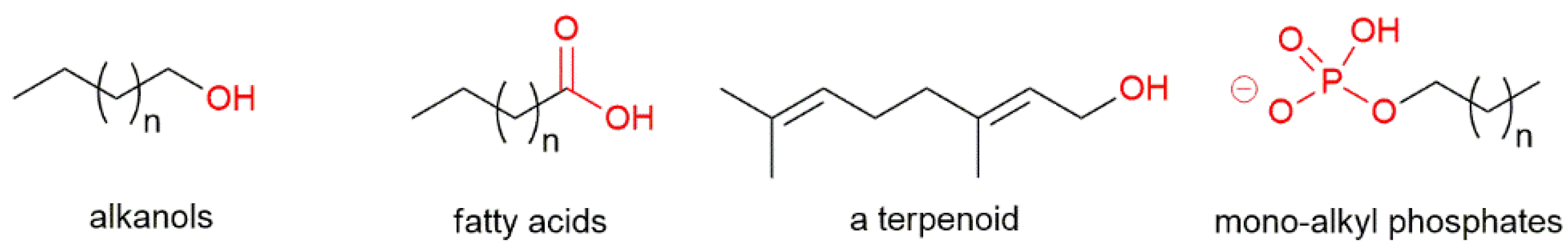 Symmetry 12 01488 g001