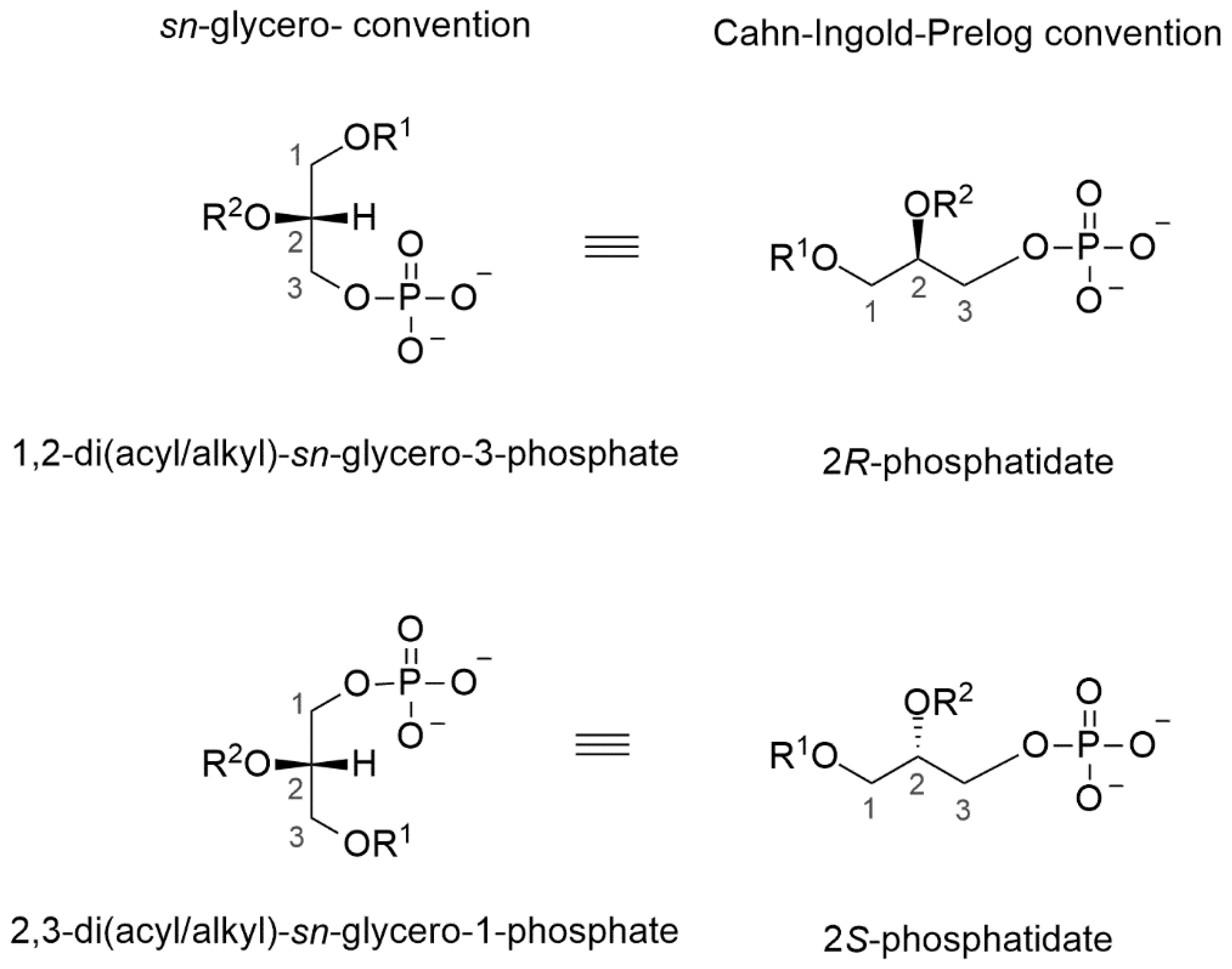 Symmetry 12 01488 g002