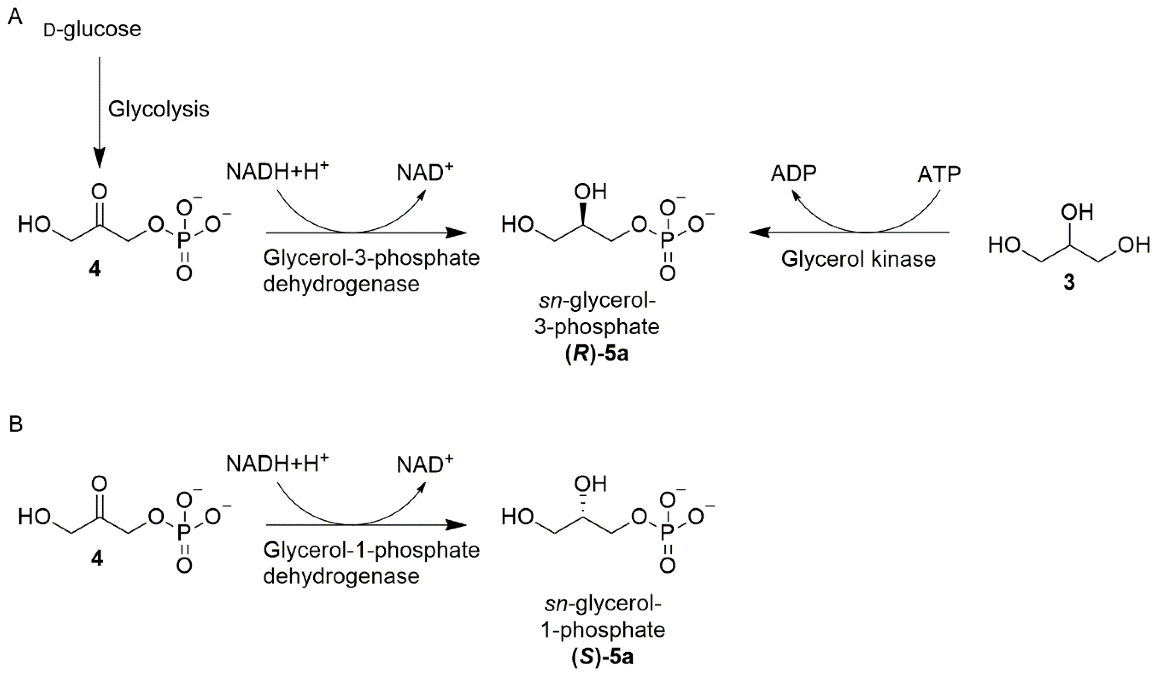 Symmetry 12 01488 sch003
