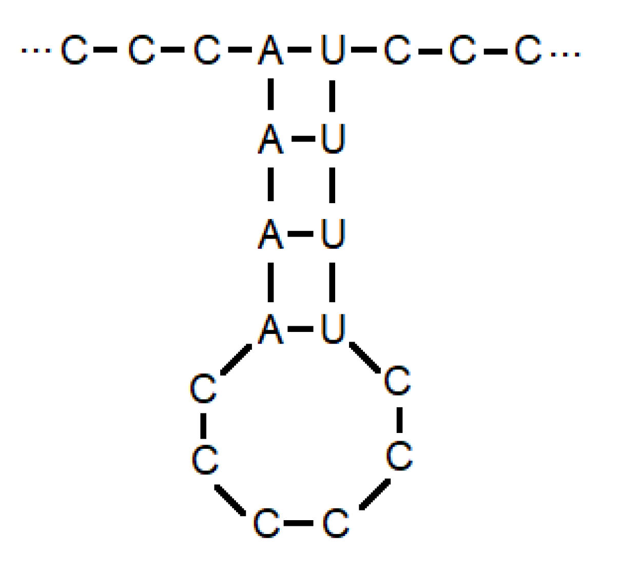 Symmetry 12 01558 g007