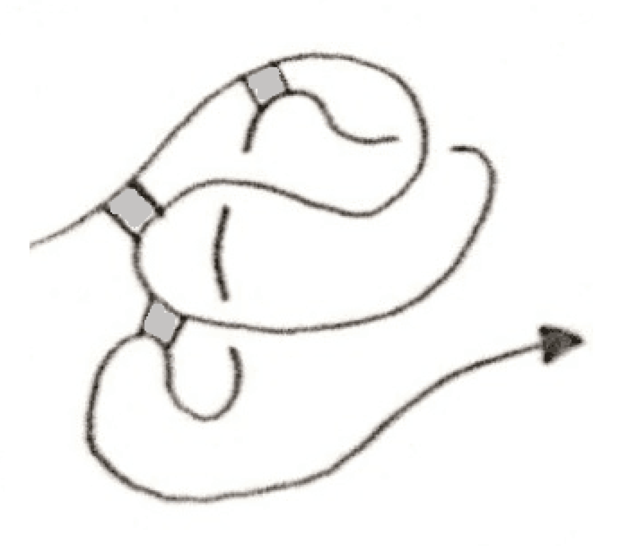 Symmetry 12 01558 g012