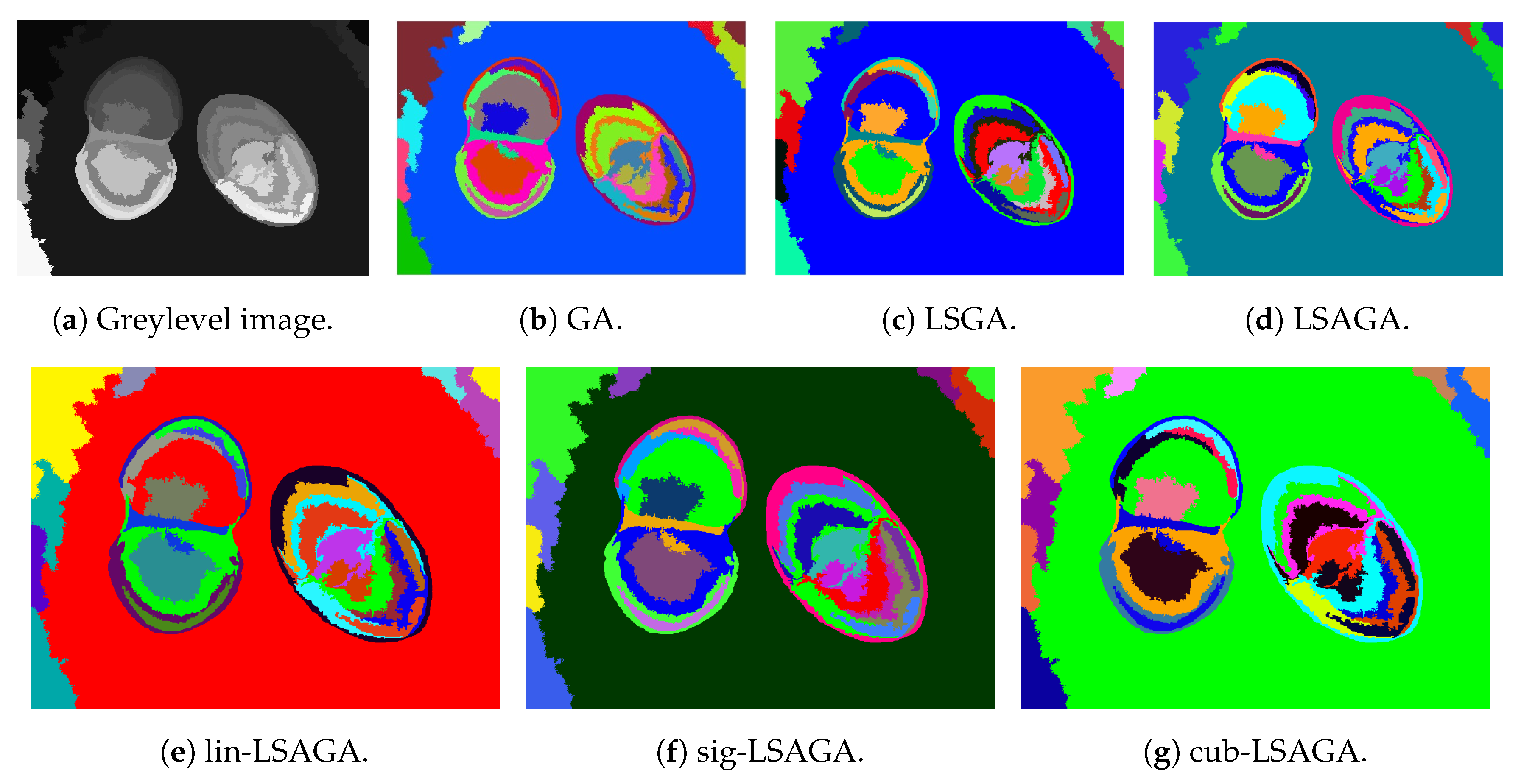 Symmetry 12 01684 g010