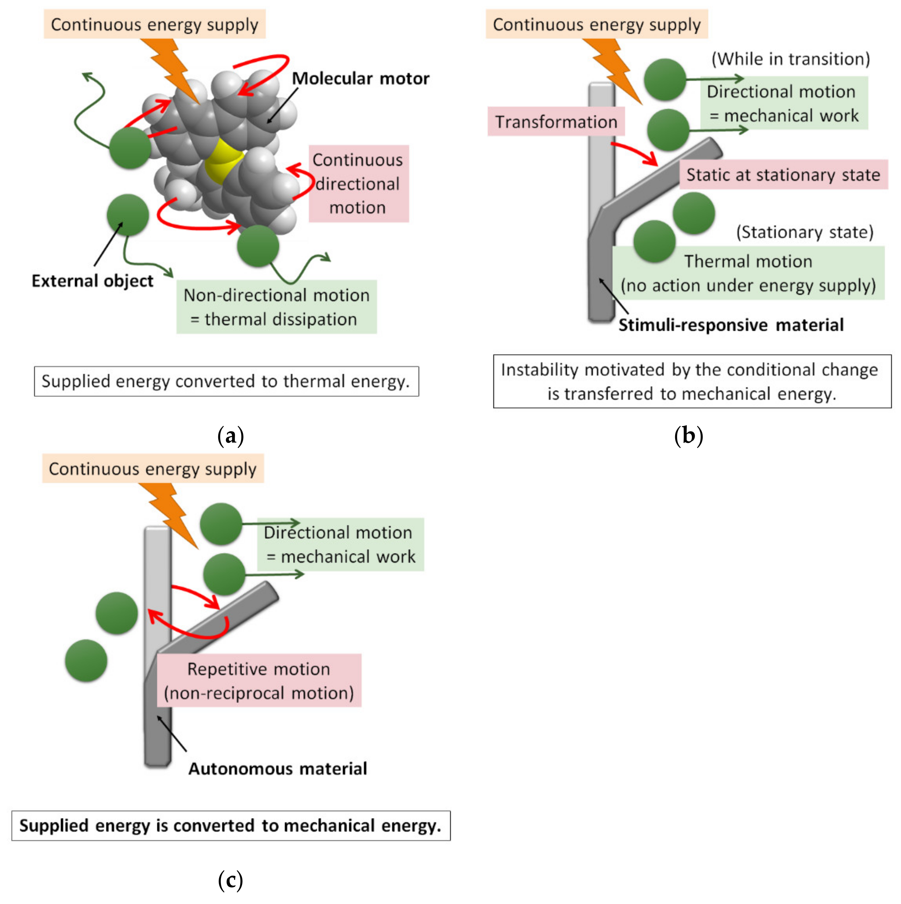Symmetry 12 01688 g001