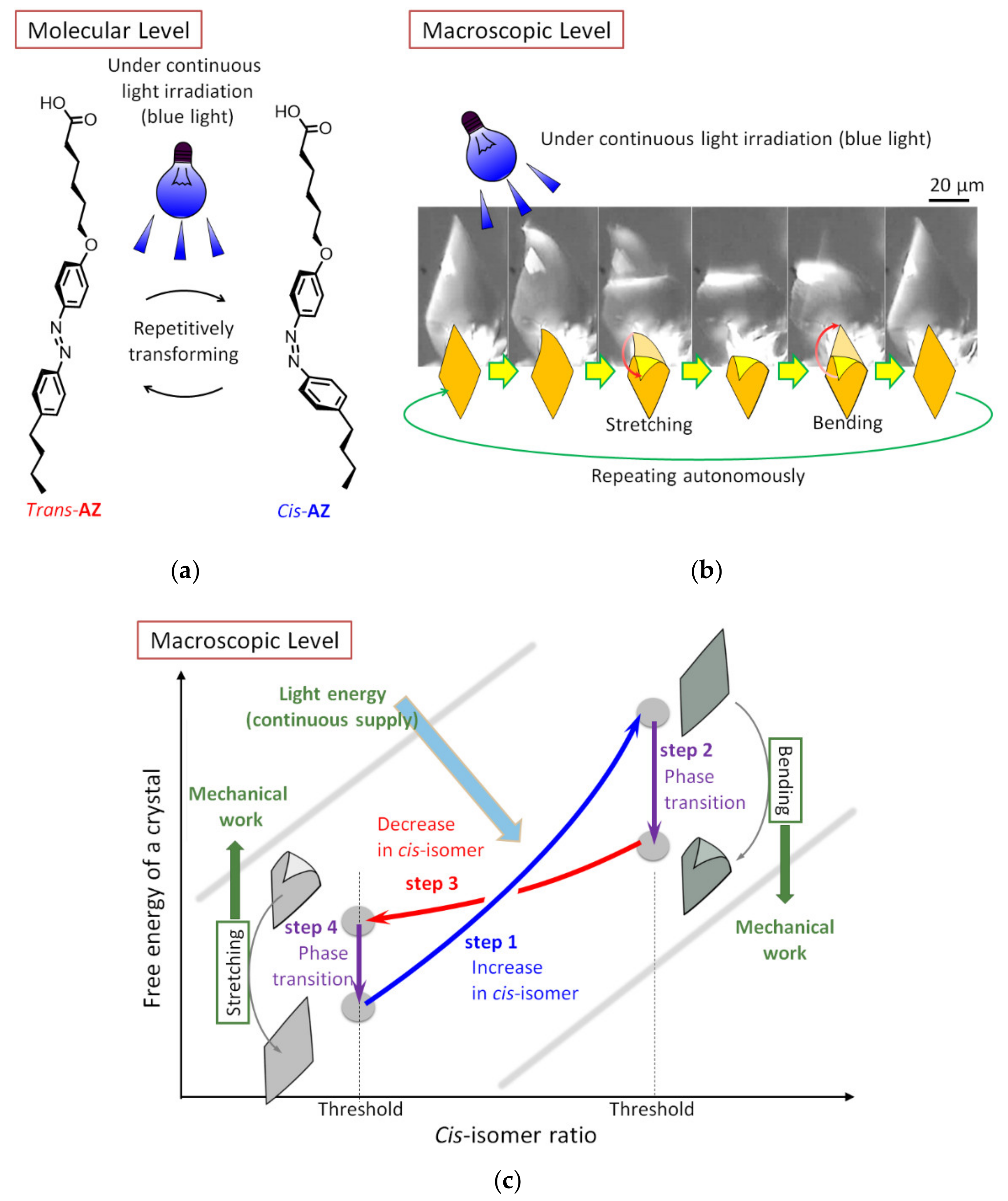 Symmetry 12 01688 g003