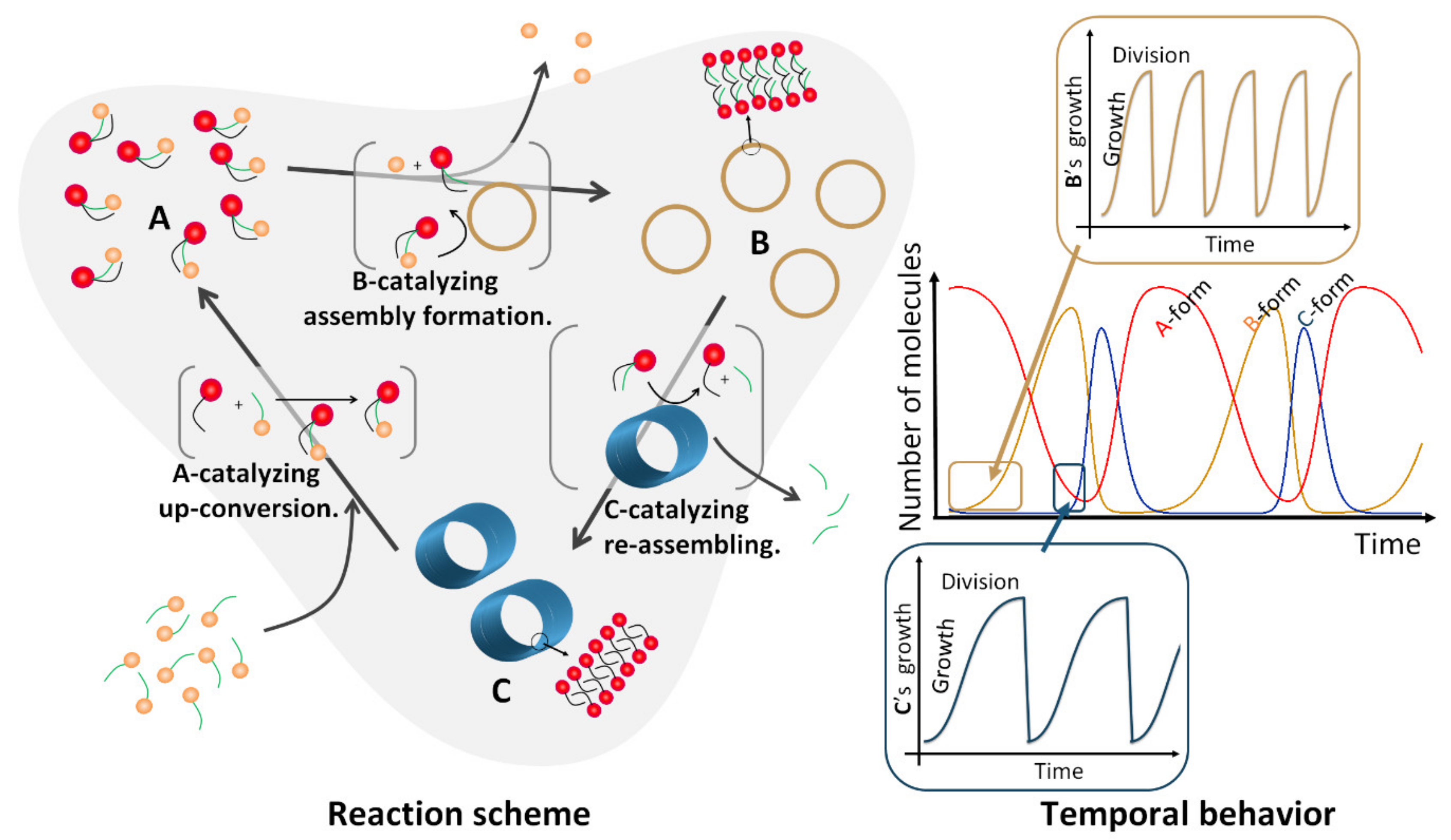 Symmetry 12 01688 g005