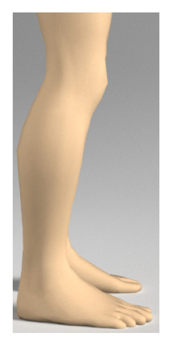 Symmetry 12 01727 g008