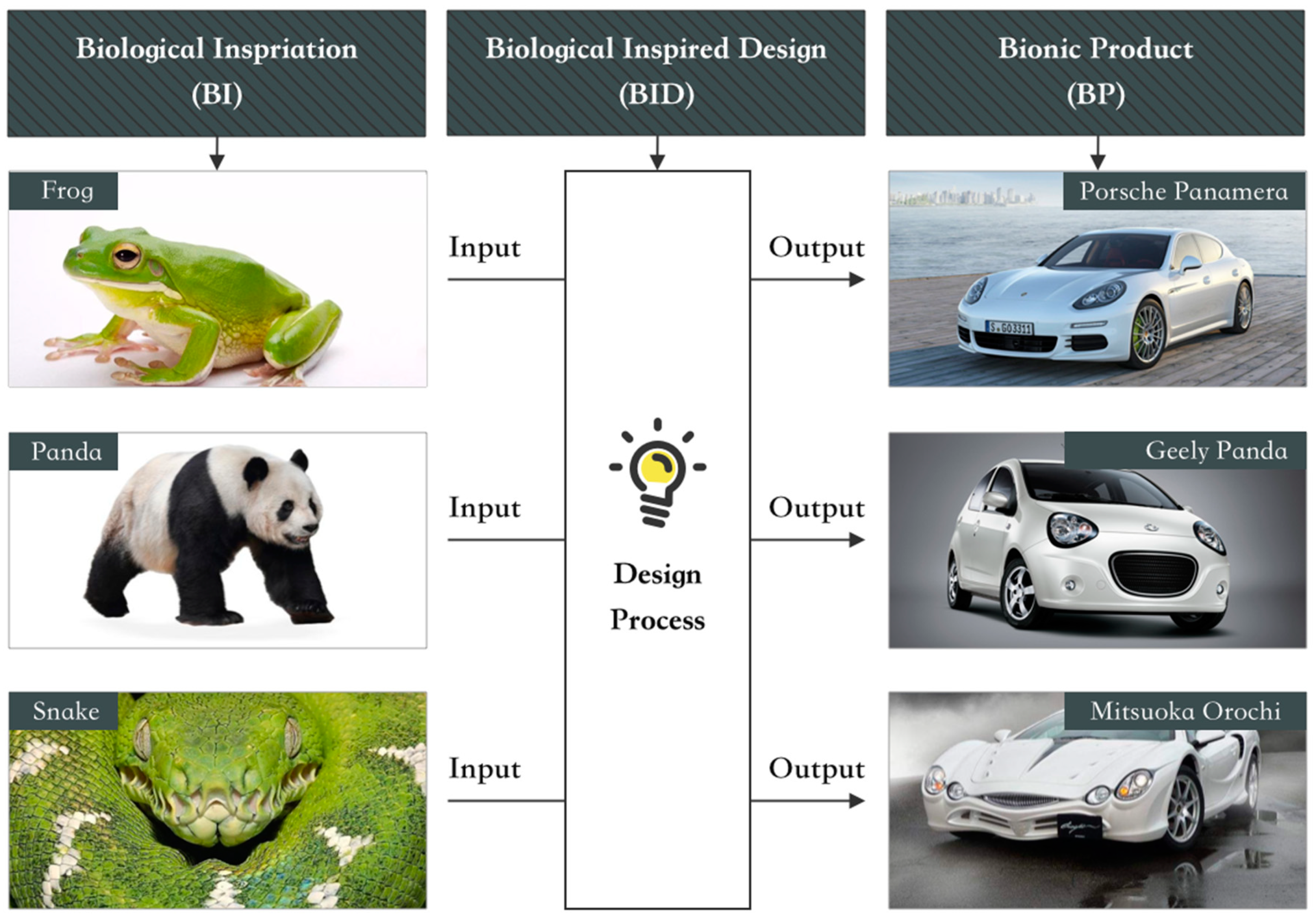 Symmetry 12 01860 g003