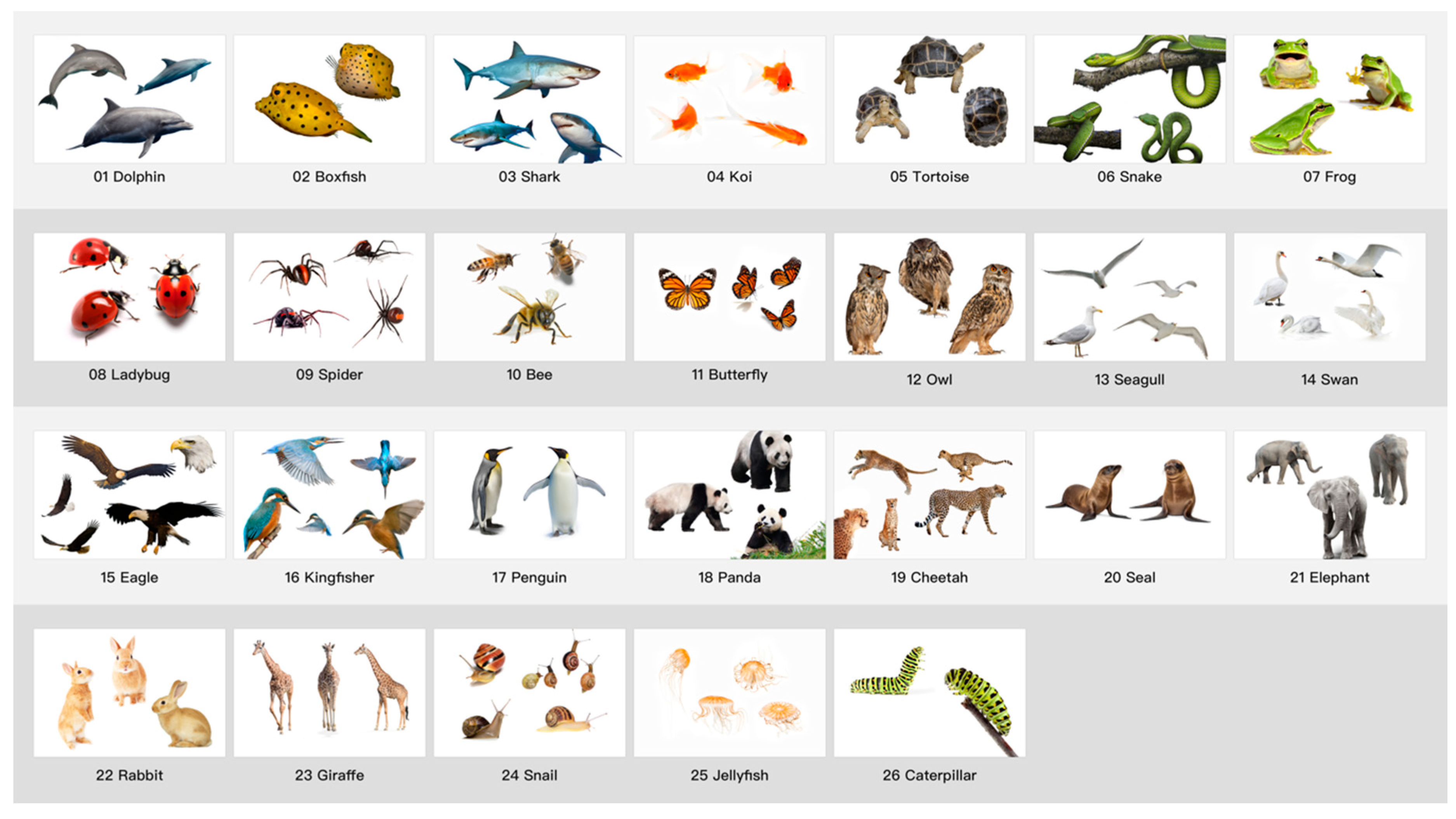 Symmetry 12 01860 g004