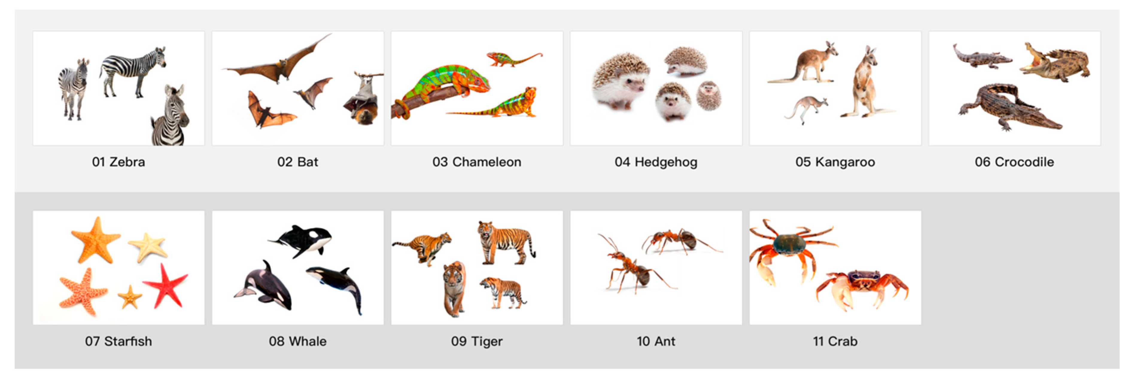 Symmetry 12 01860 g005