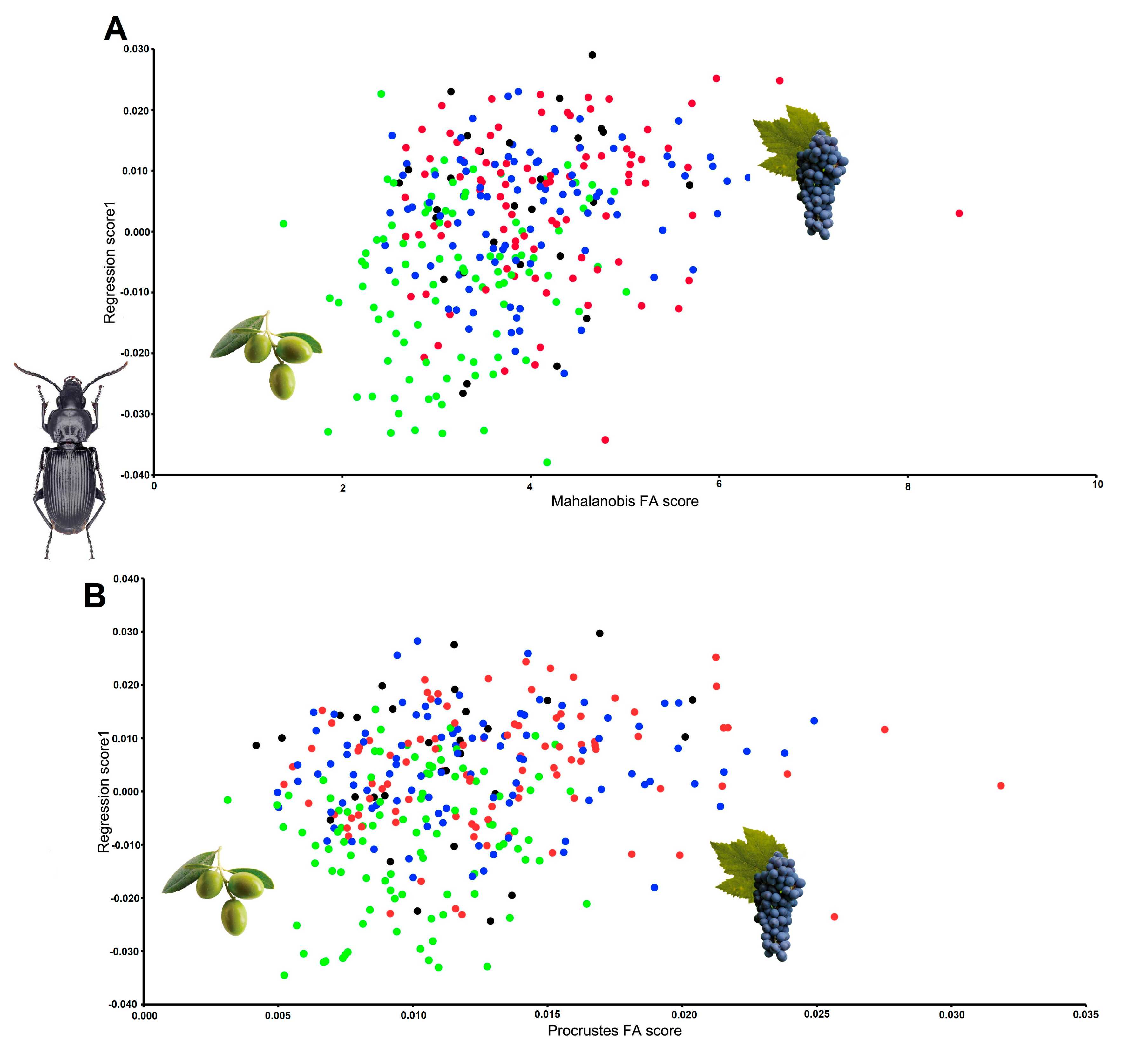 Symmetry 12 01890 g008