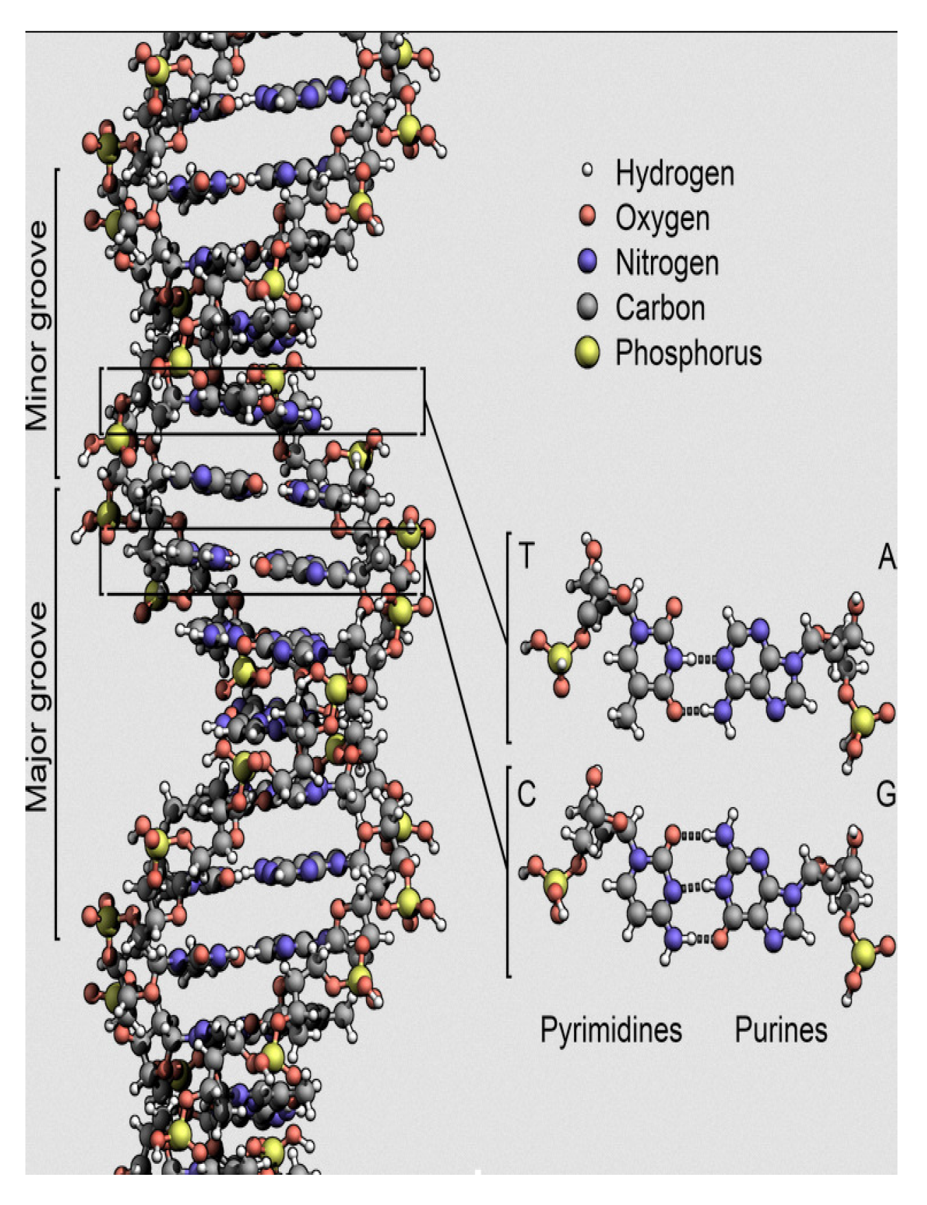 Symmetry 12 01993 g001 Symmetry 12 01993 g001