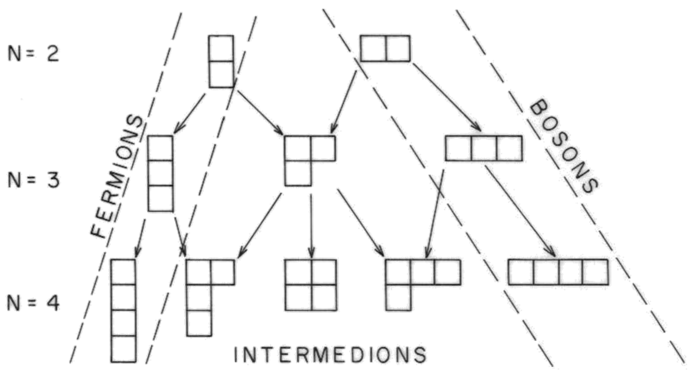Symmetry 13 00021 g002