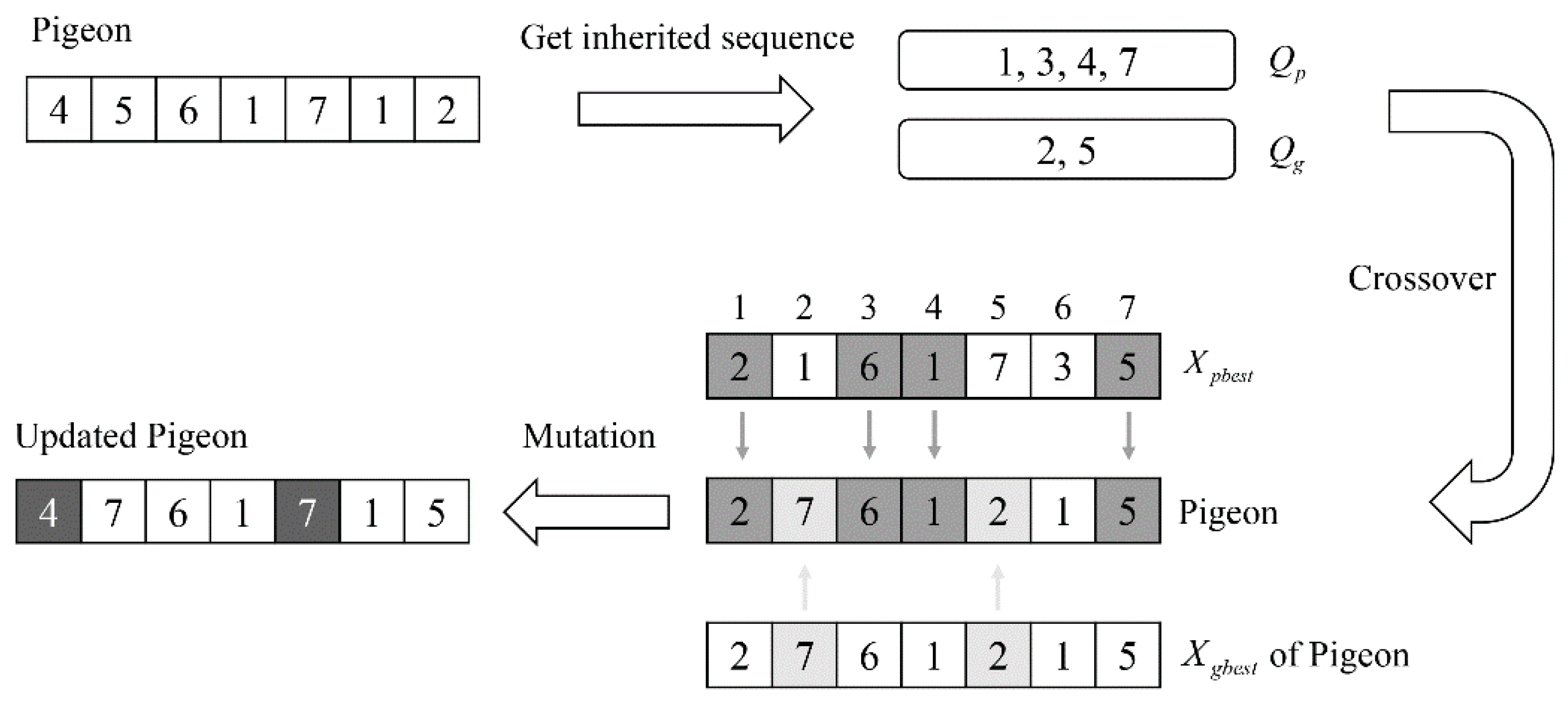 Symmetry 13 00049 g002 Symmetry 13 00049 g002