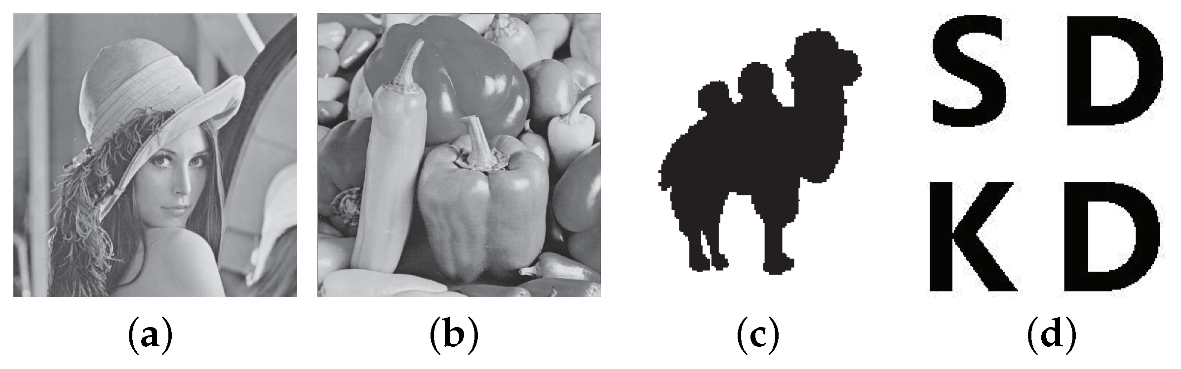 Symmetry 13 00065 g010