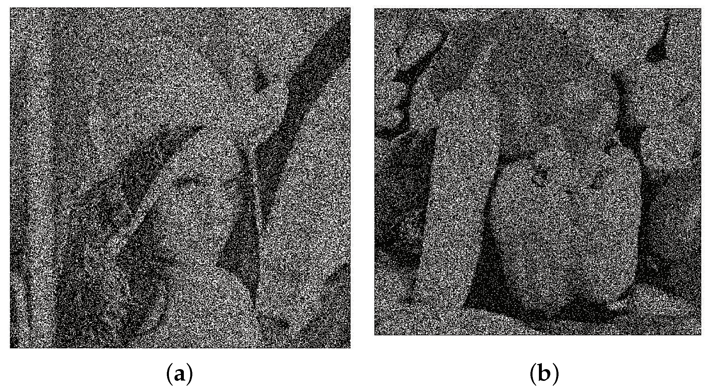 Symmetry 13 00065 g011