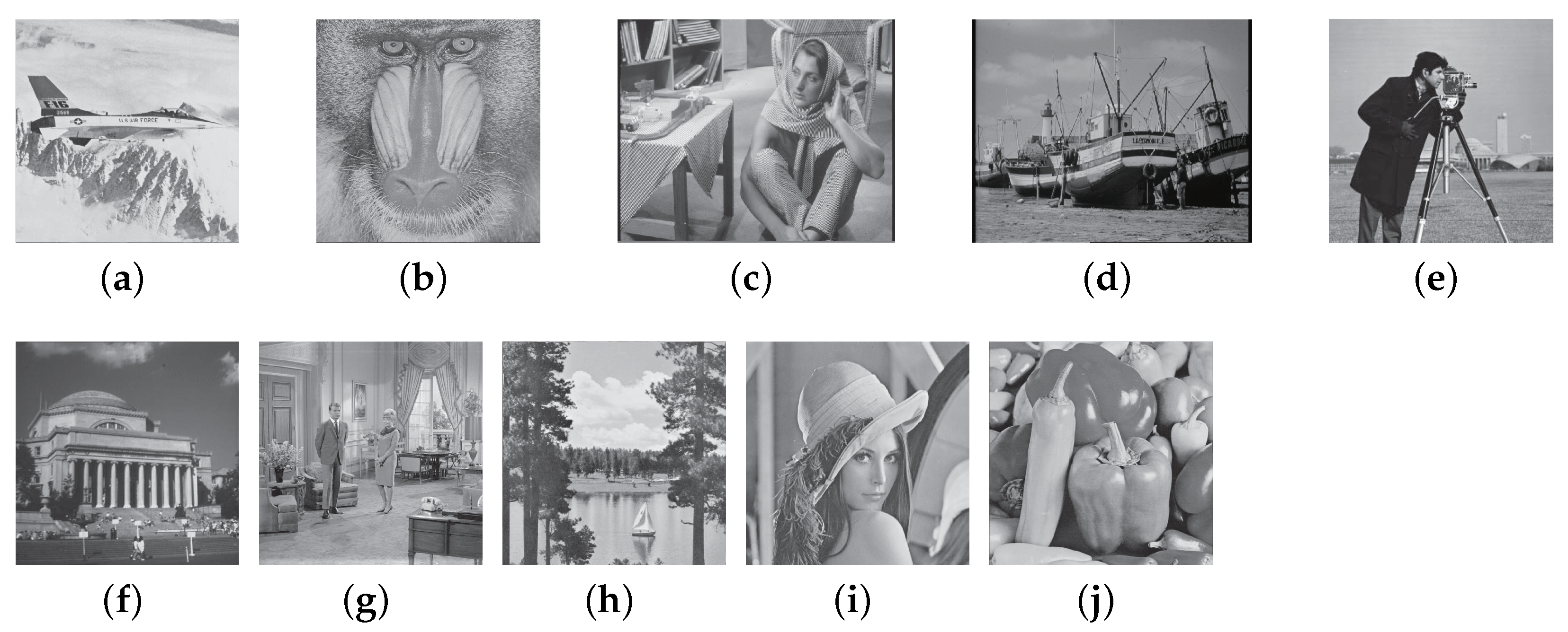 Symmetry 13 00065 g013