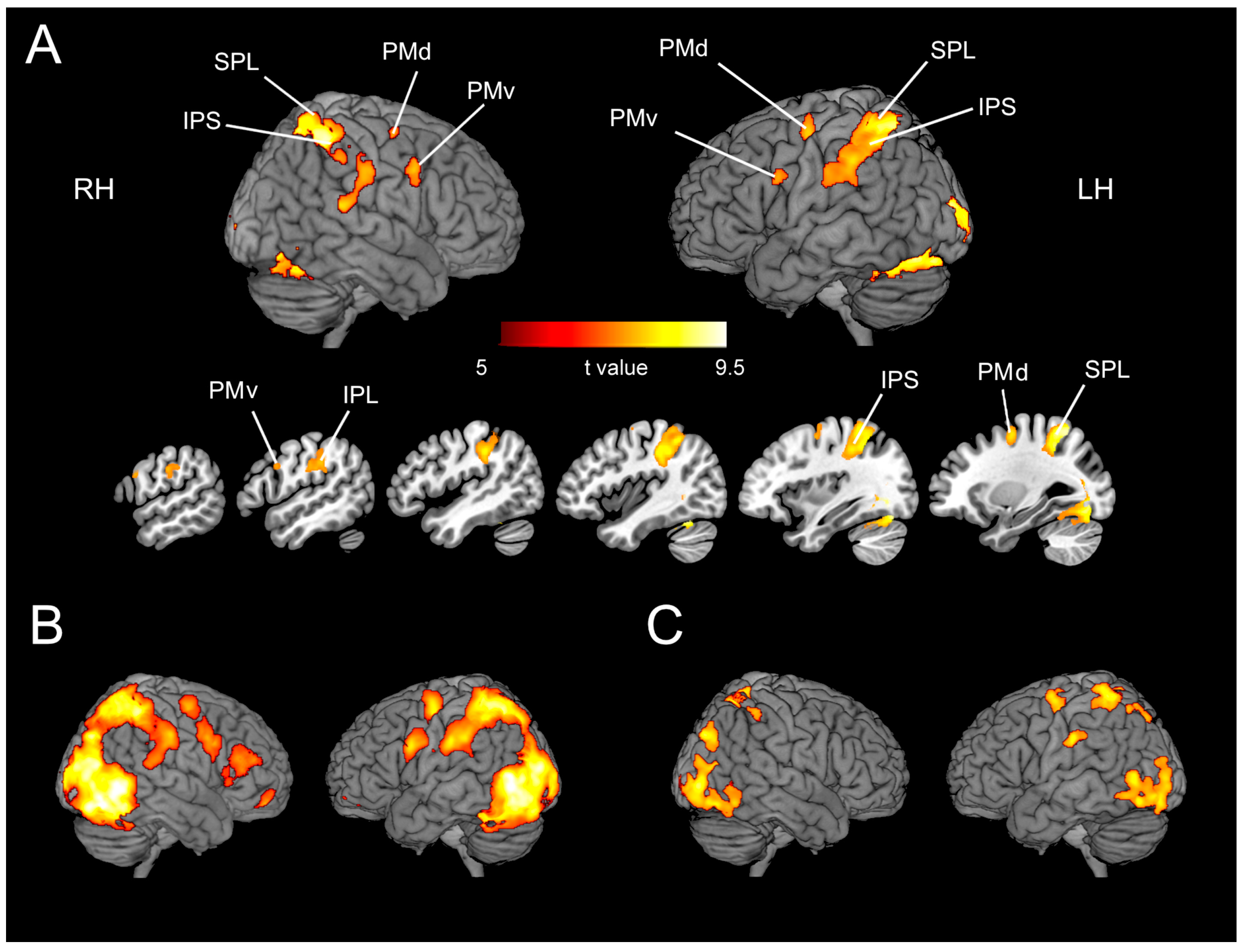 Symmetry 13 00077 g002