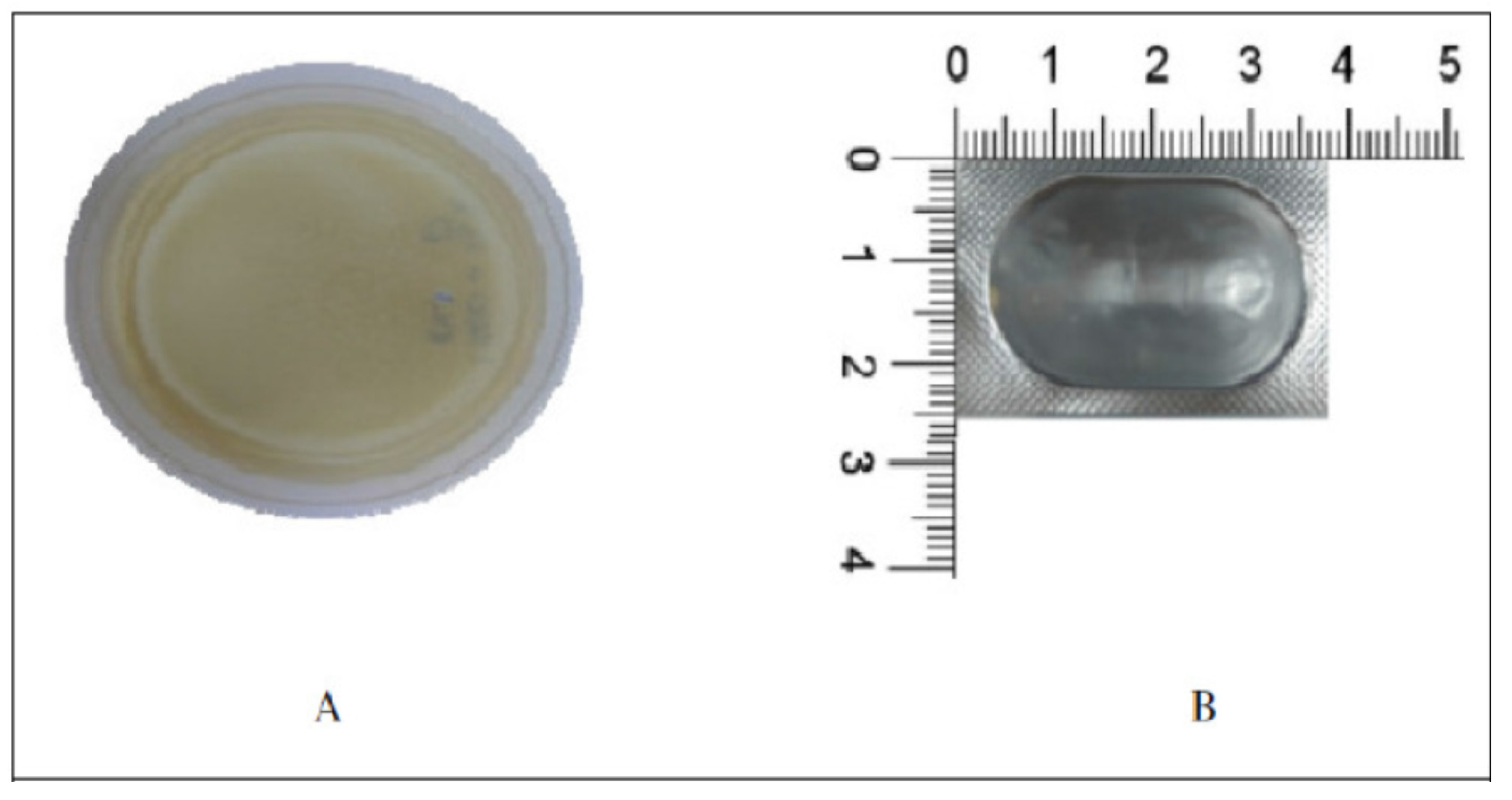 Symmetry 13 00088 g001