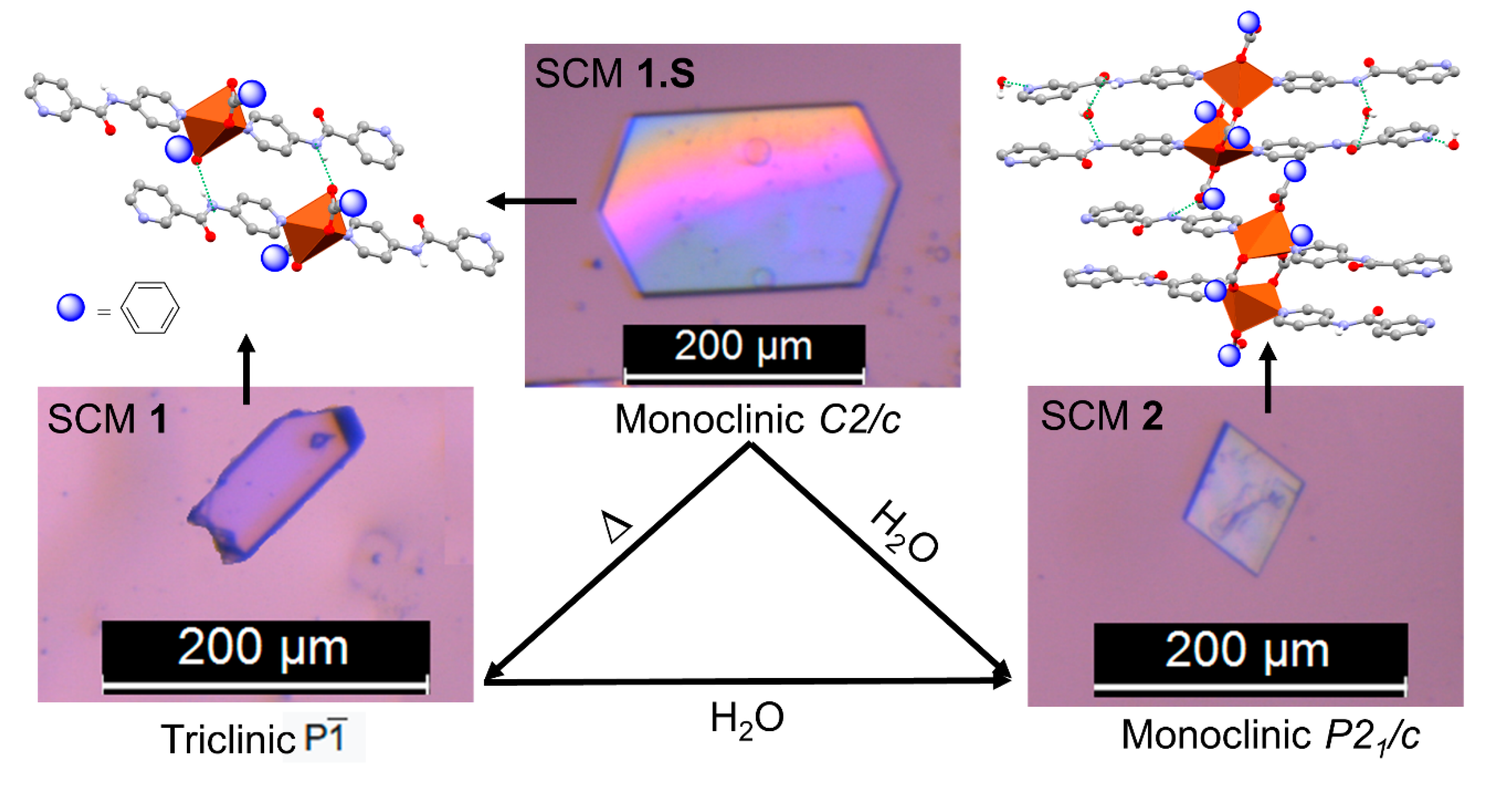 Symmetry 13 00112 g008