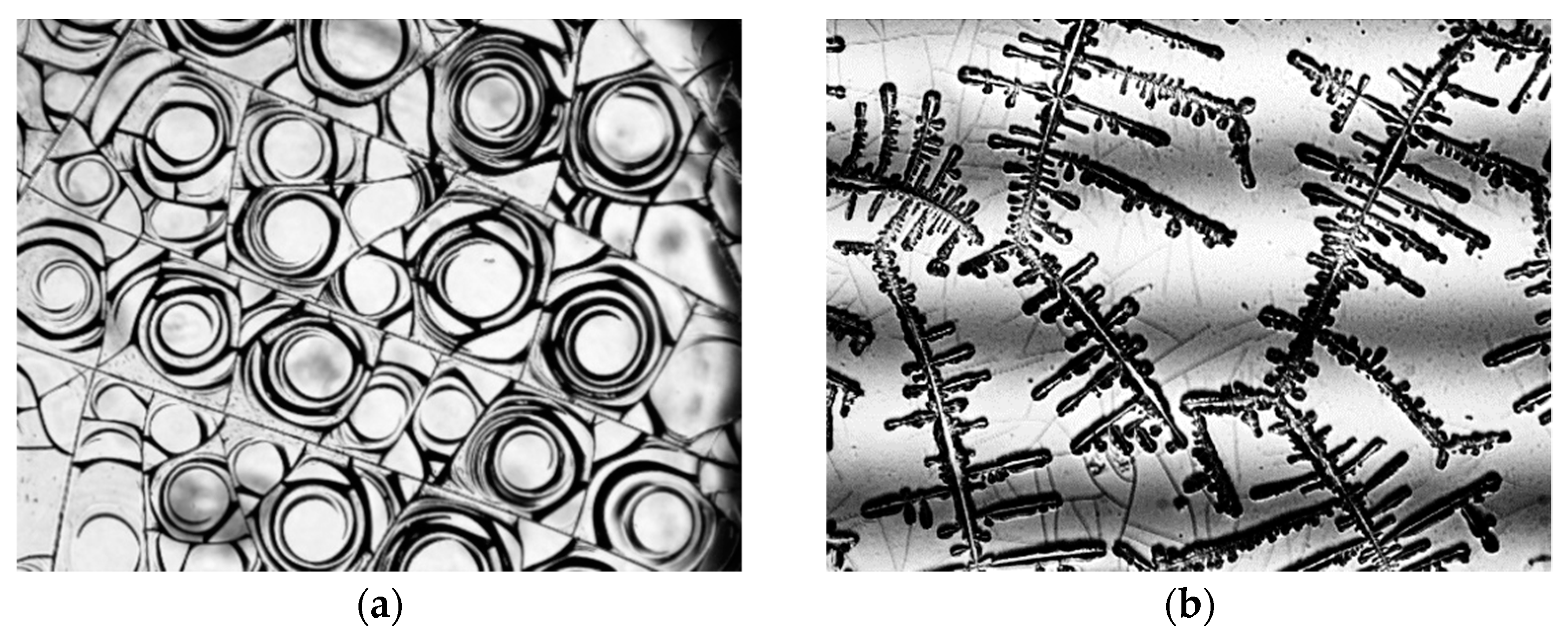 Symmetry 13 00123 g001