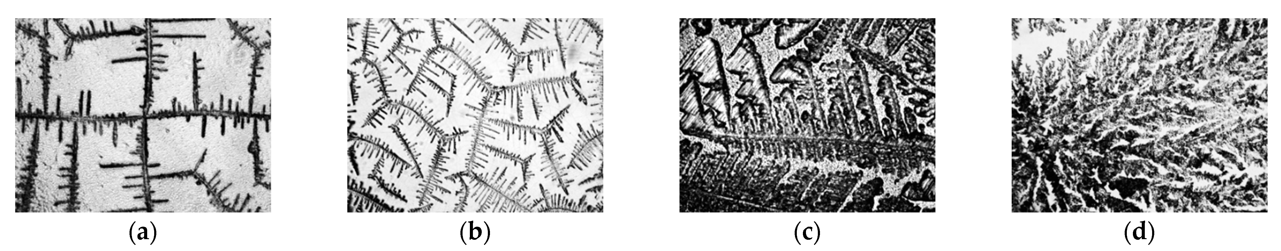 Symmetry 13 00123 g002