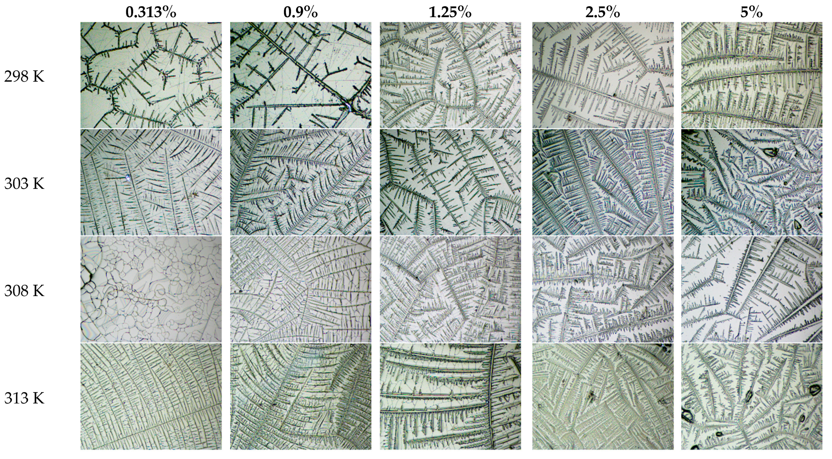 Symmetry 13 00123 g003