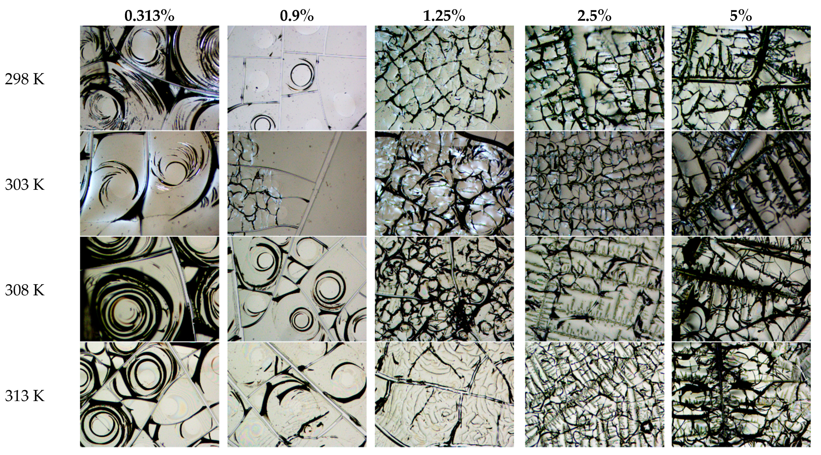 Symmetry 13 00123 g005