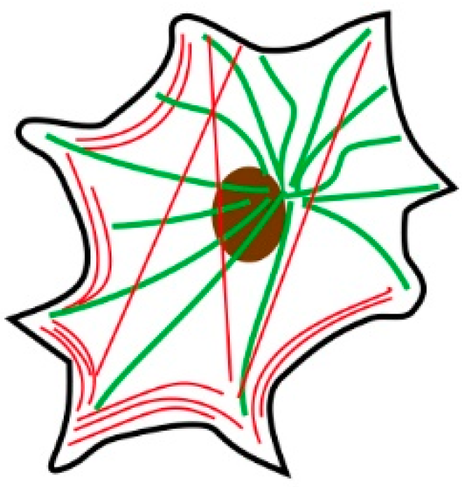 Symmetry 13 00130 g001