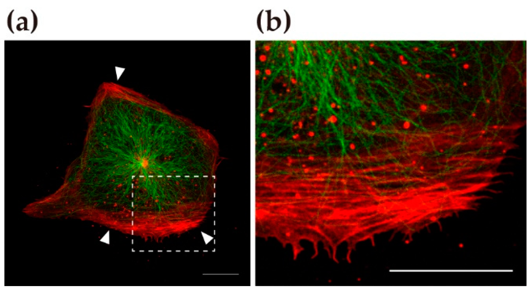 Symmetry 13 00130 g004