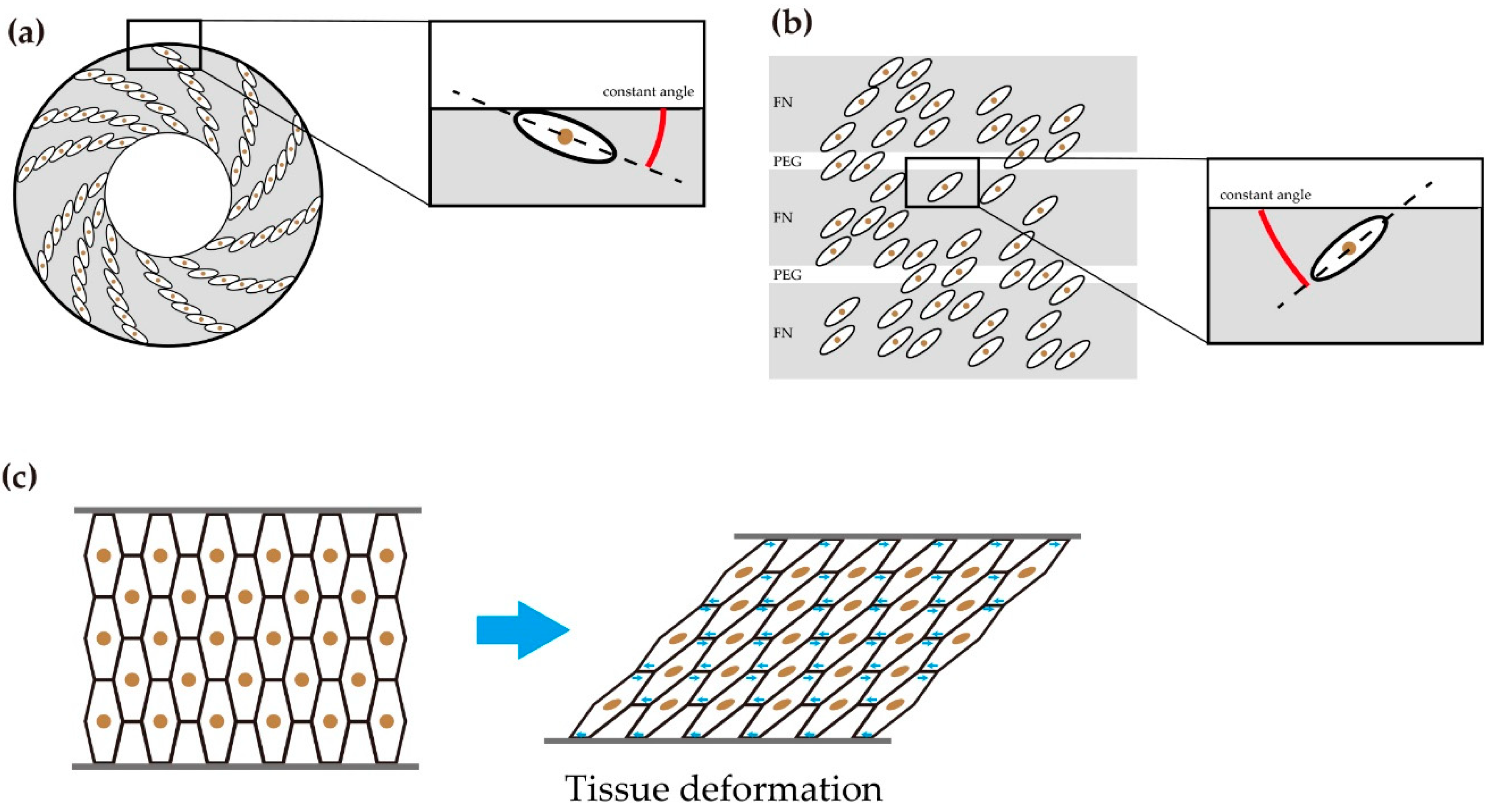 Symmetry 13 00130 g007