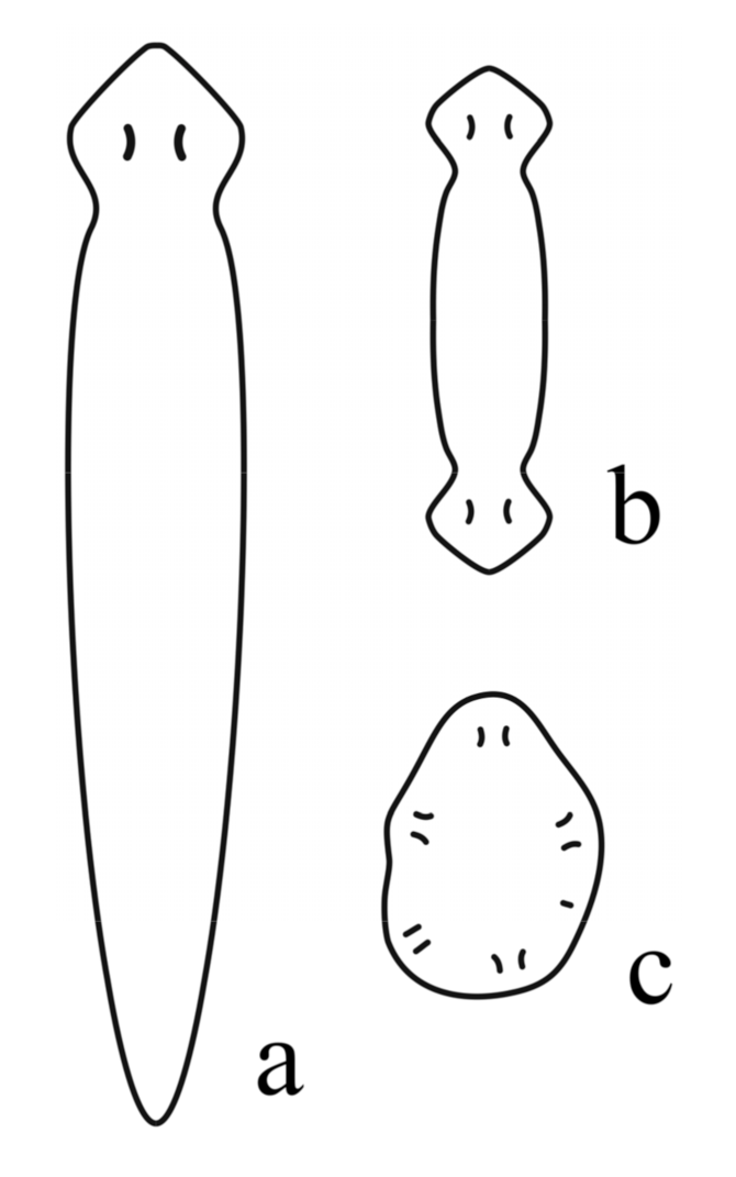 Symmetry 13 00160 g001 Symmetry 13 00160 g001