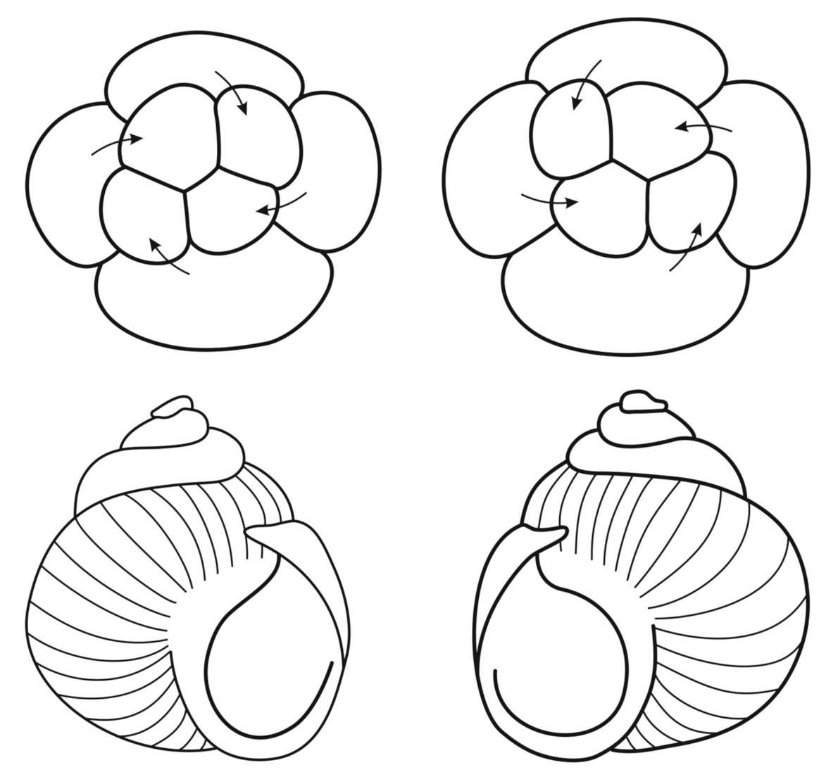 Symmetry 13 00160 g002 Symmetry 13 00160 g002